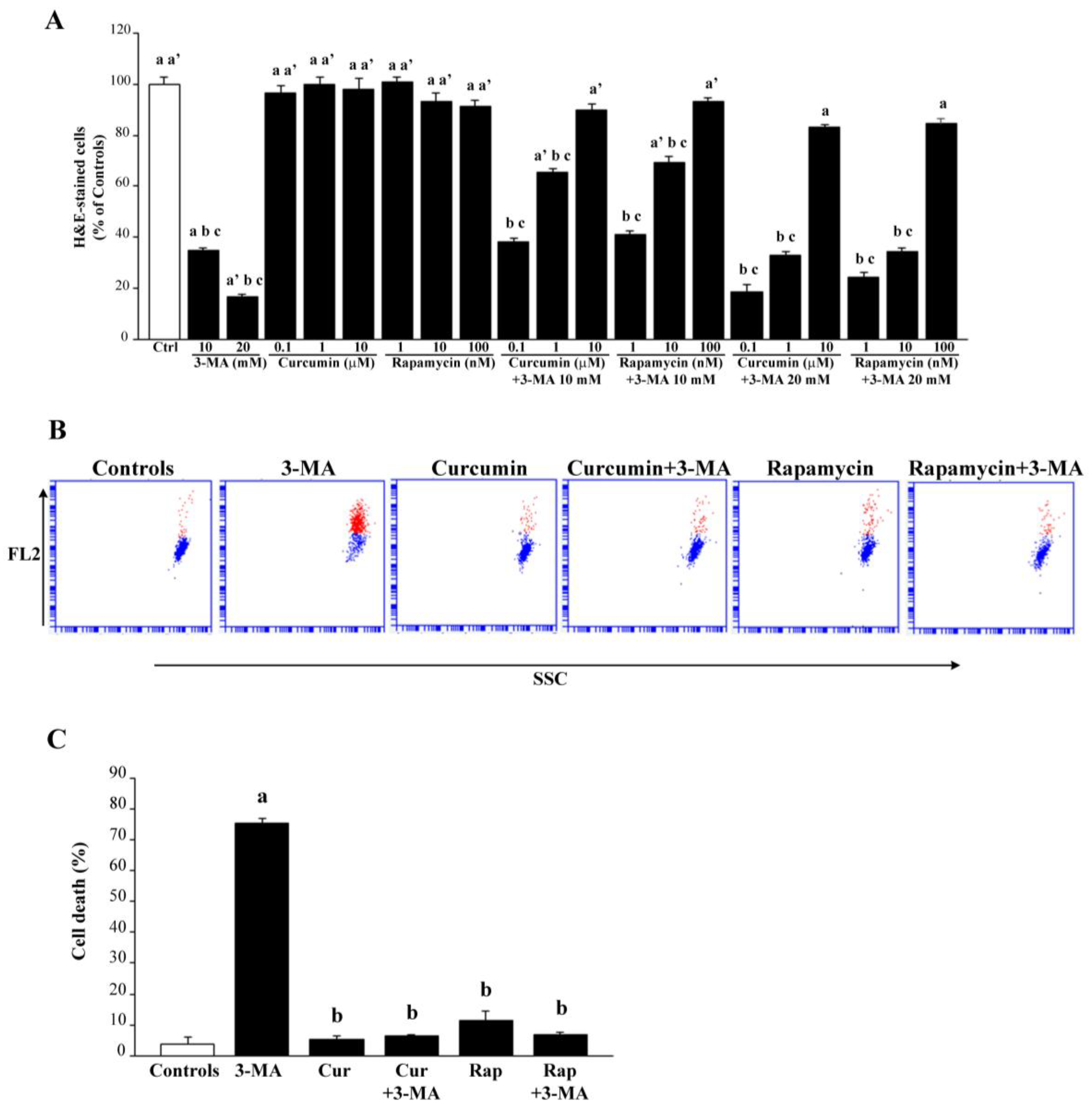 Ijms 26 09442 g002 Ijms 26 09442 g002
