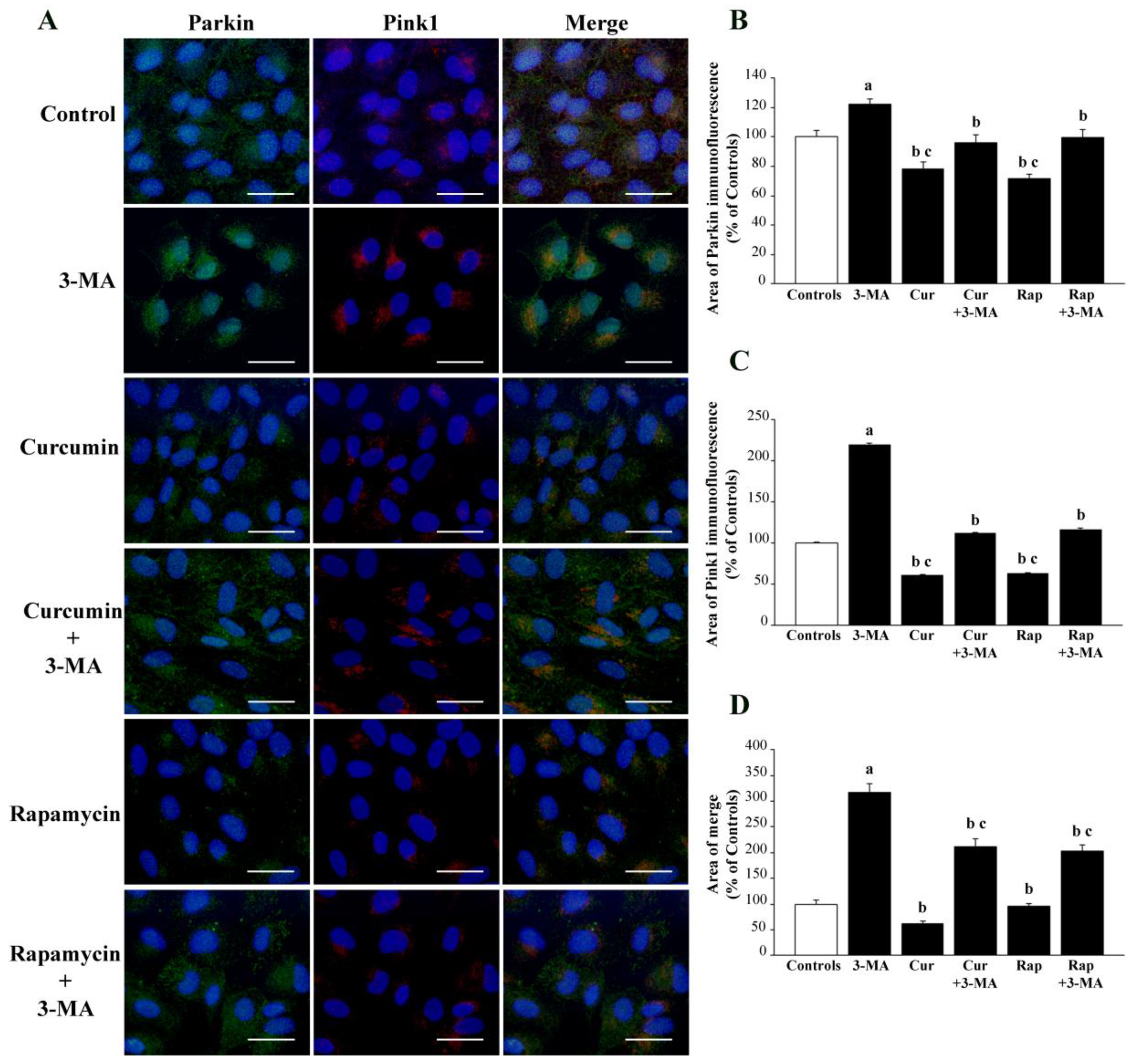 Ijms 26 09442 g008 Ijms 26 09442 g008