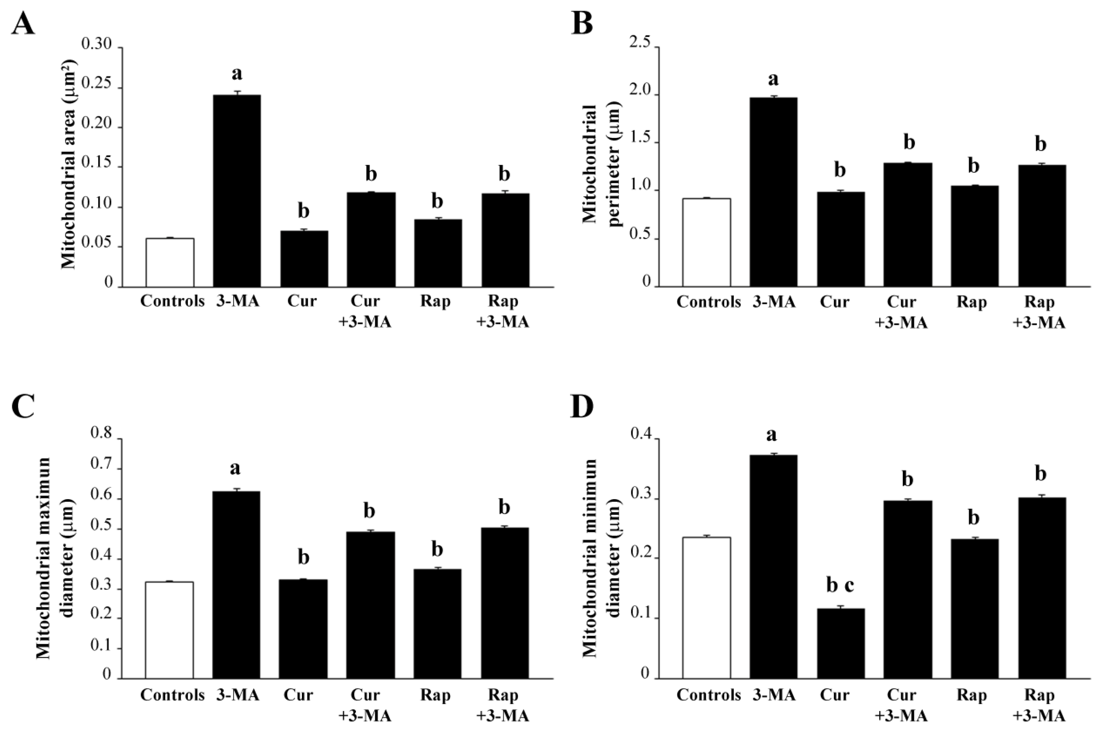 Ijms 26 09442 g010 Ijms 26 09442 g010