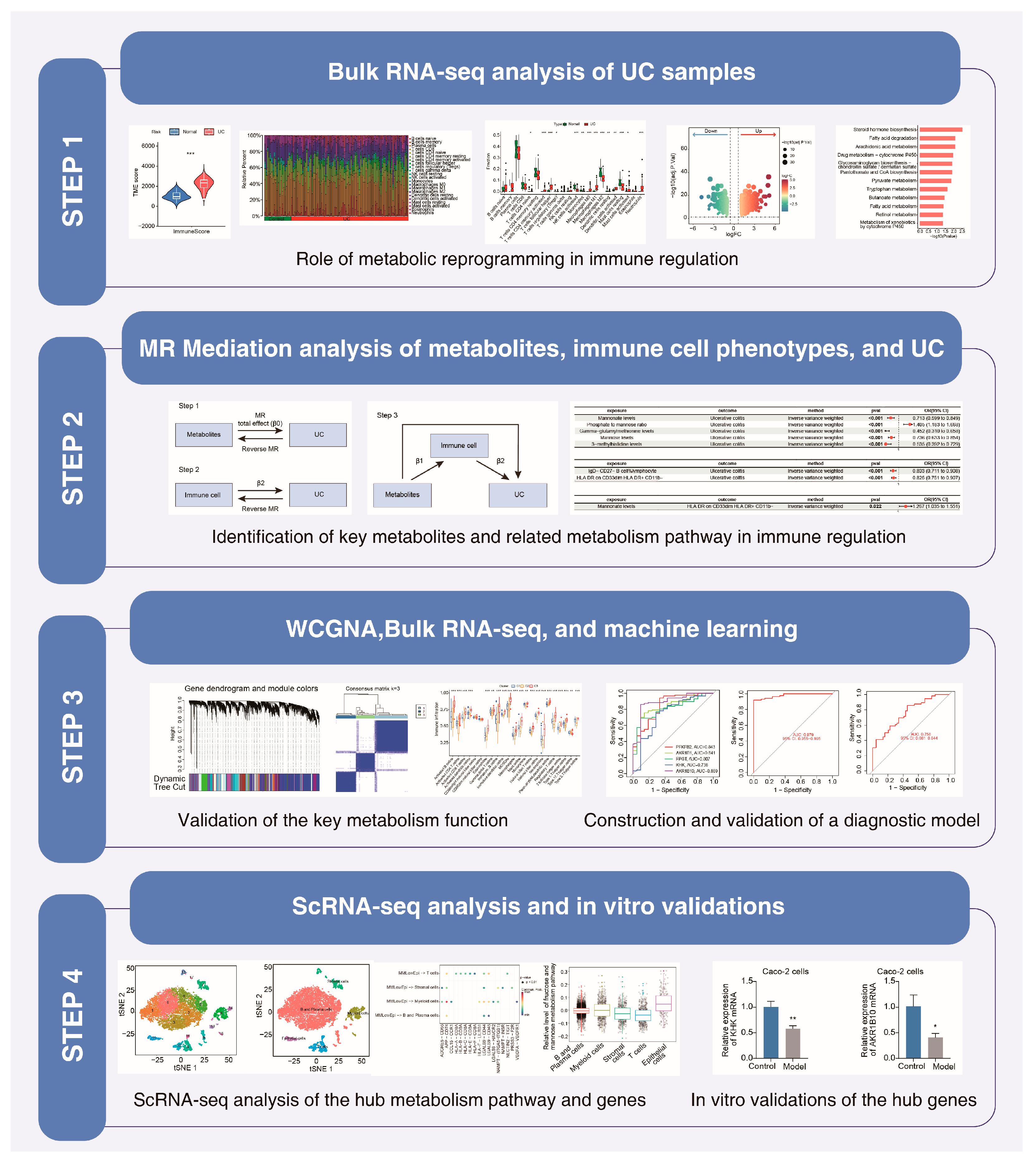 Ijms 26 09443 g001 Ijms 26 09443 g001