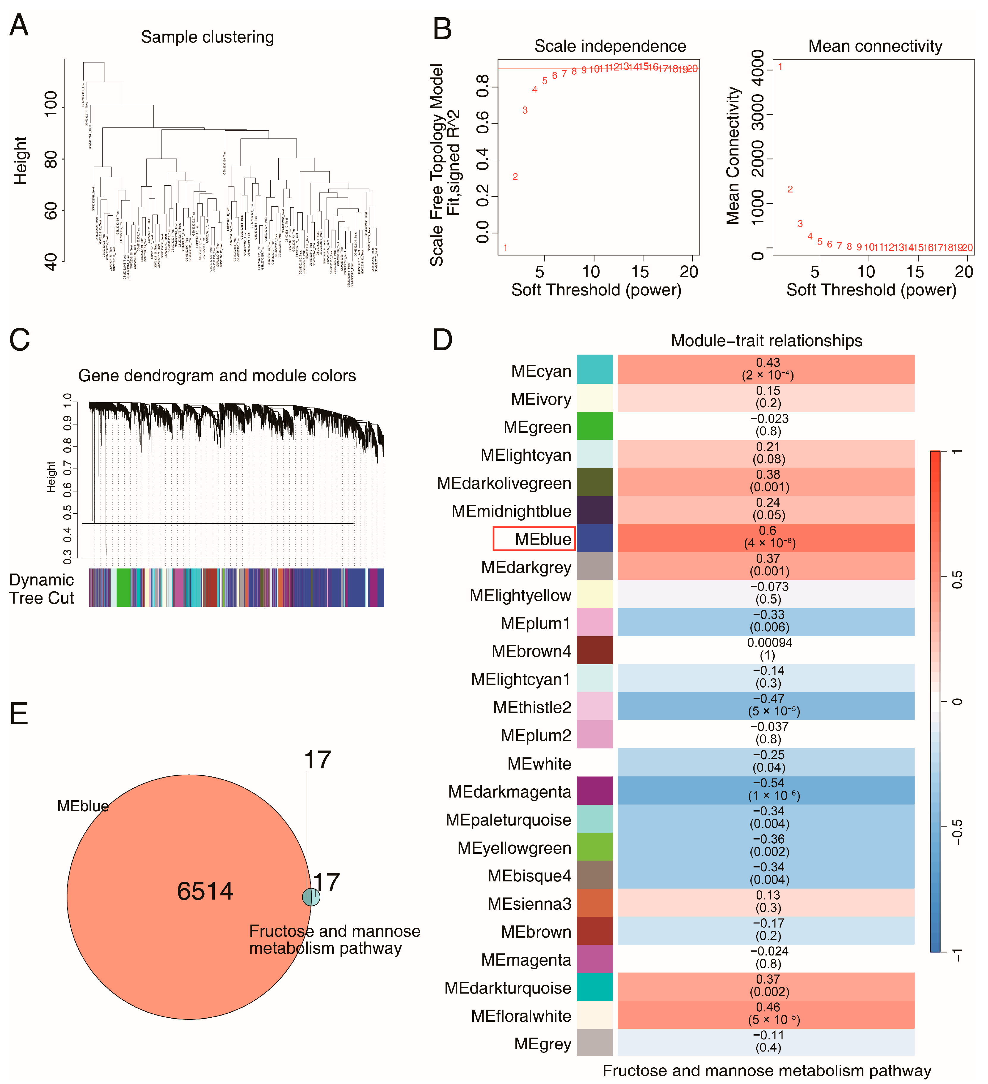 Ijms 26 09443 g004 Ijms 26 09443 g004
