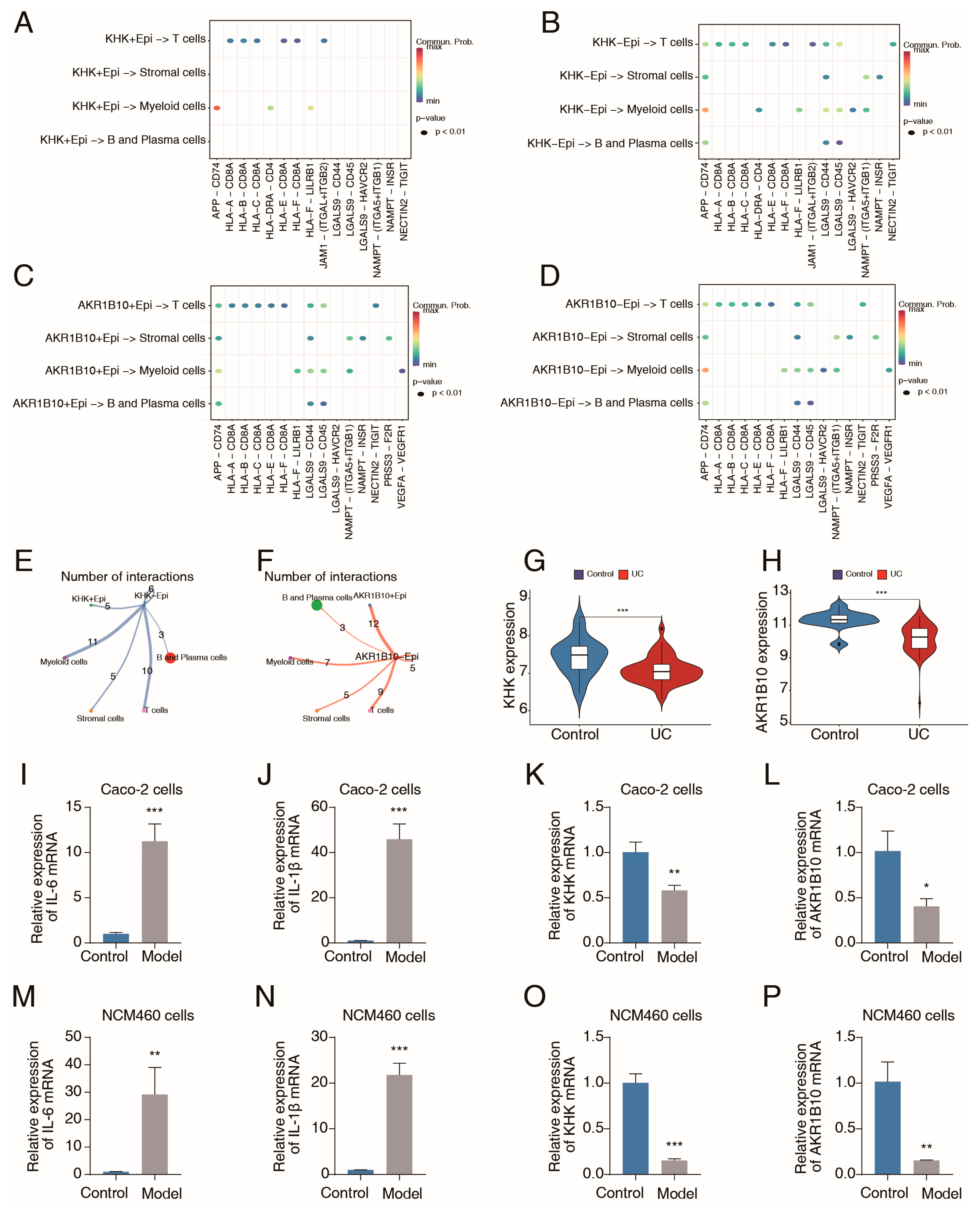 Ijms 26 09443 g008 Ijms 26 09443 g008
