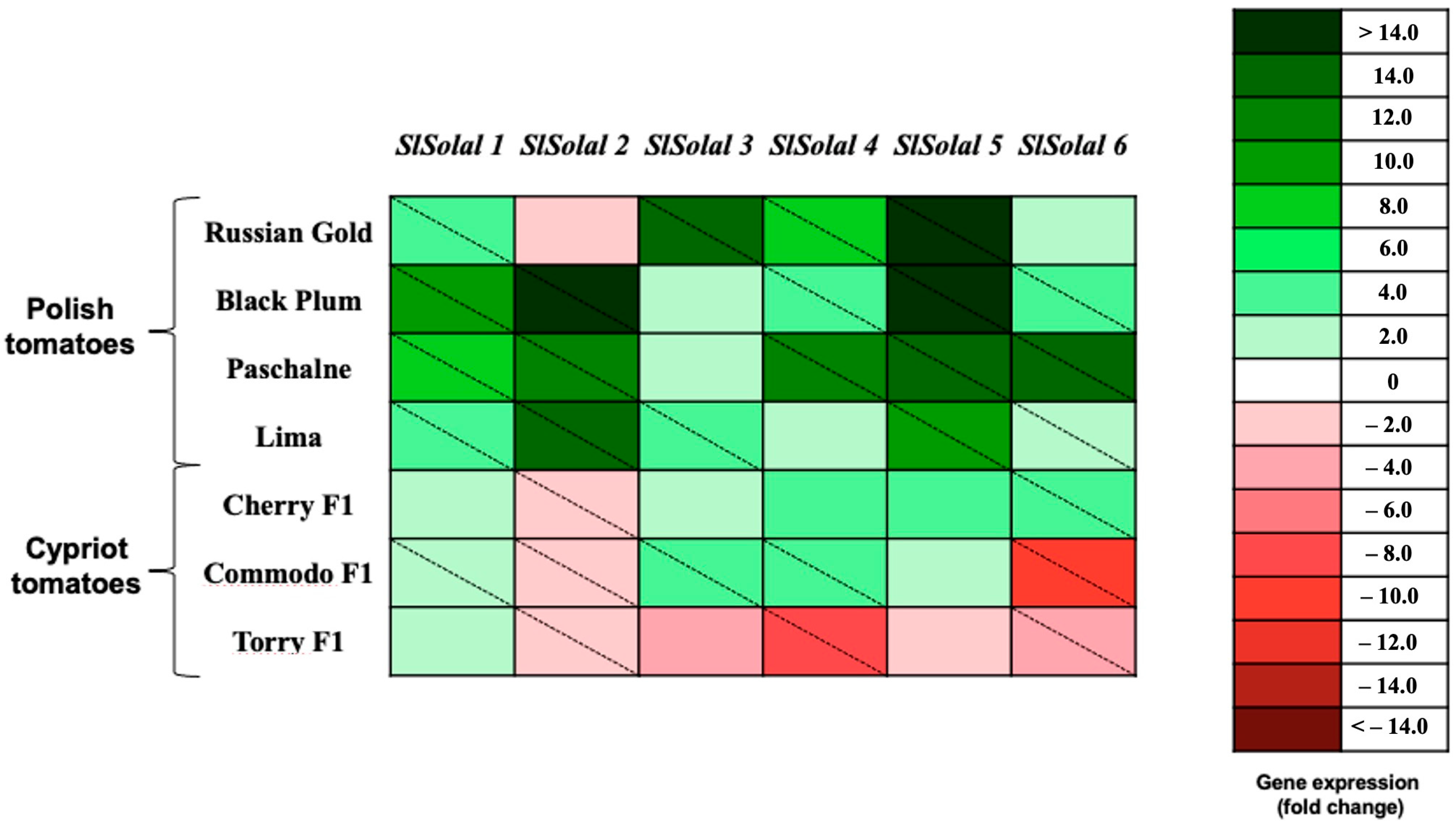 Ijms 26 09446 g005 Ijms 26 09446 g005