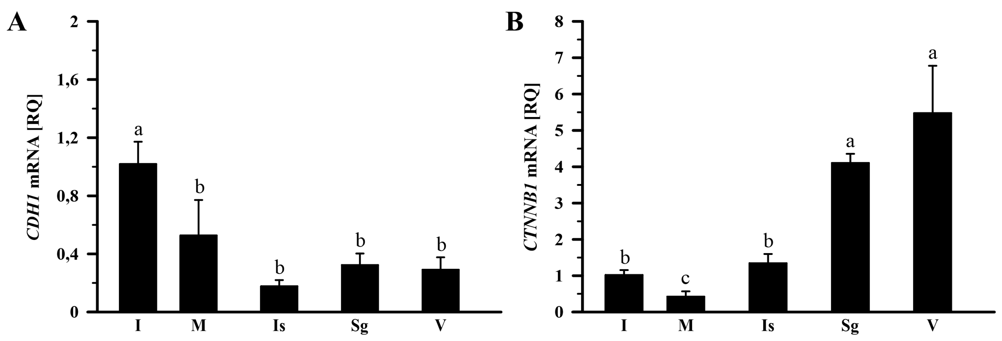 Ijms 26 09451 g003 Ijms 26 09451 g003