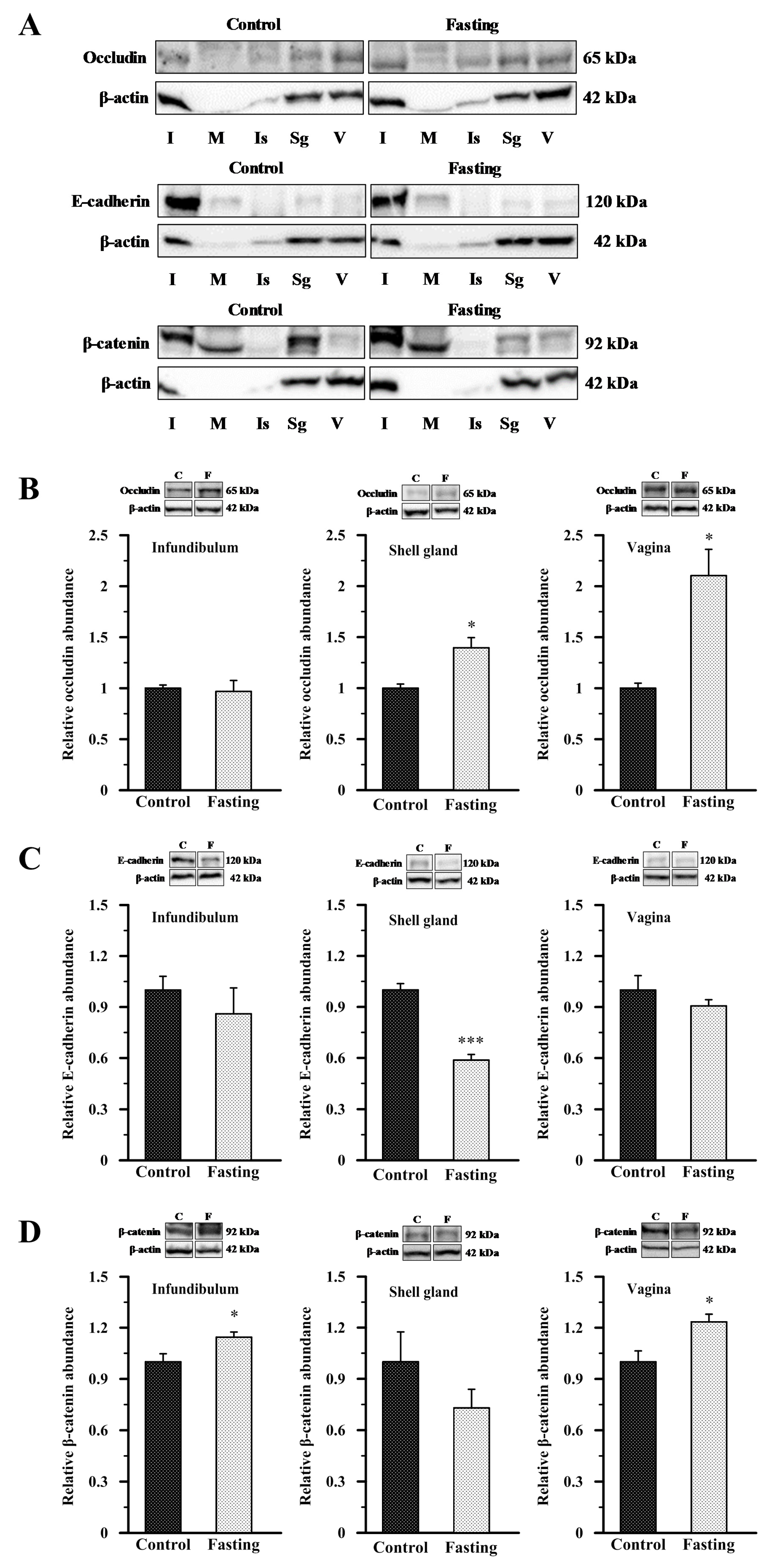 Ijms 26 09451 g005 Ijms 26 09451 g005