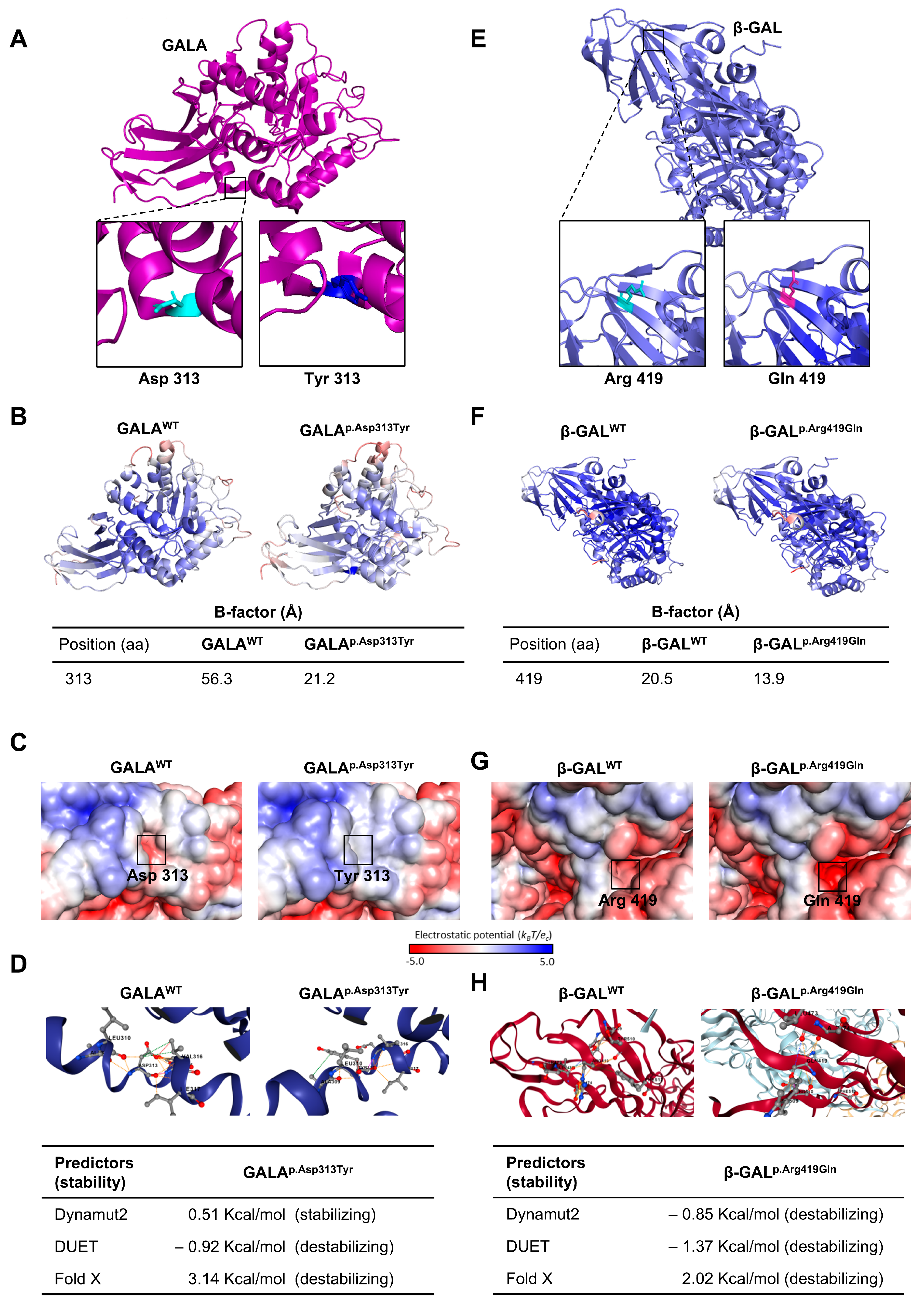 Ijms 26 09454 g002 Ijms 26 09454 g002
