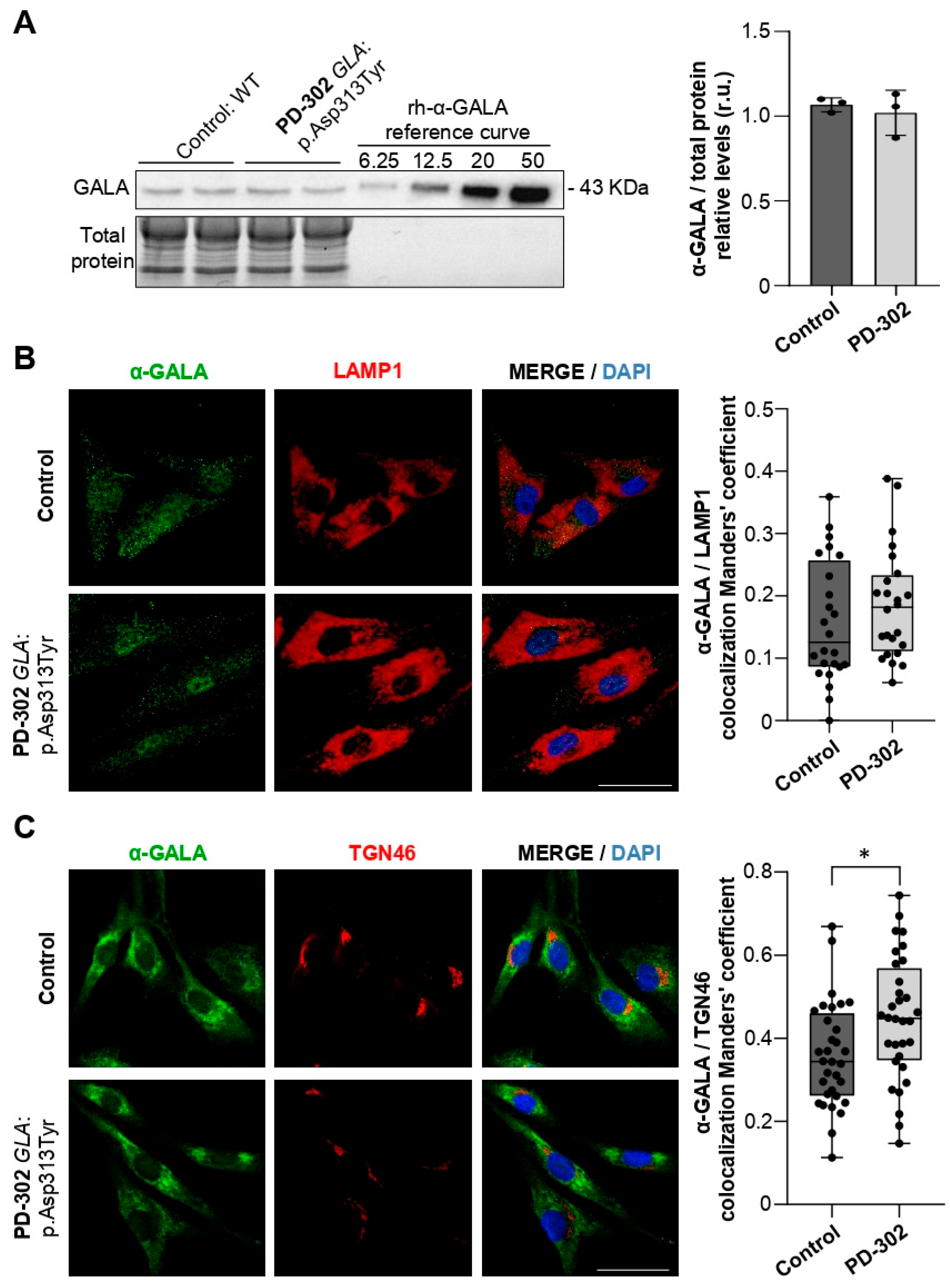 Ijms 26 09454 g003 Ijms 26 09454 g003