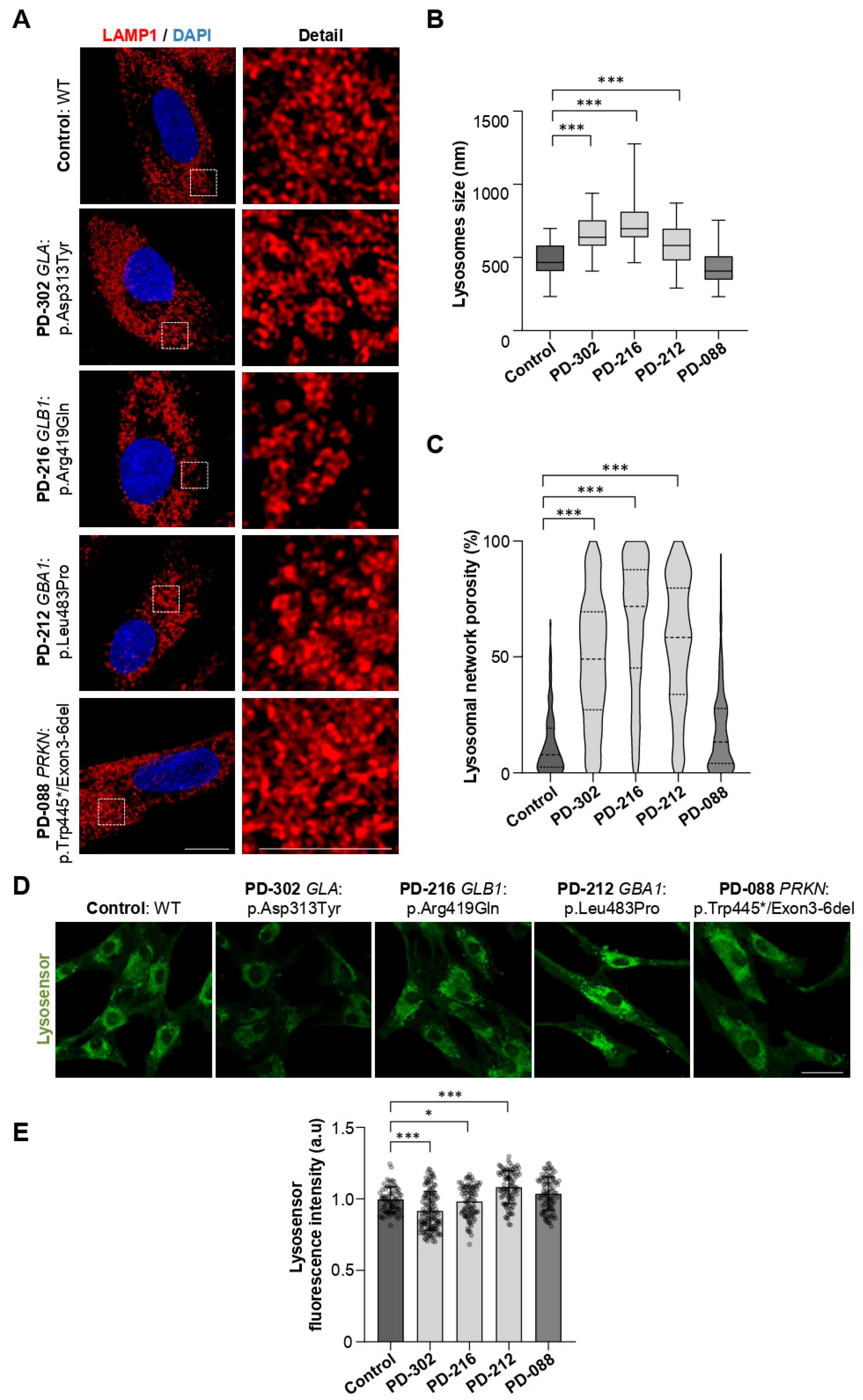 Ijms 26 09454 g005 Ijms 26 09454 g005