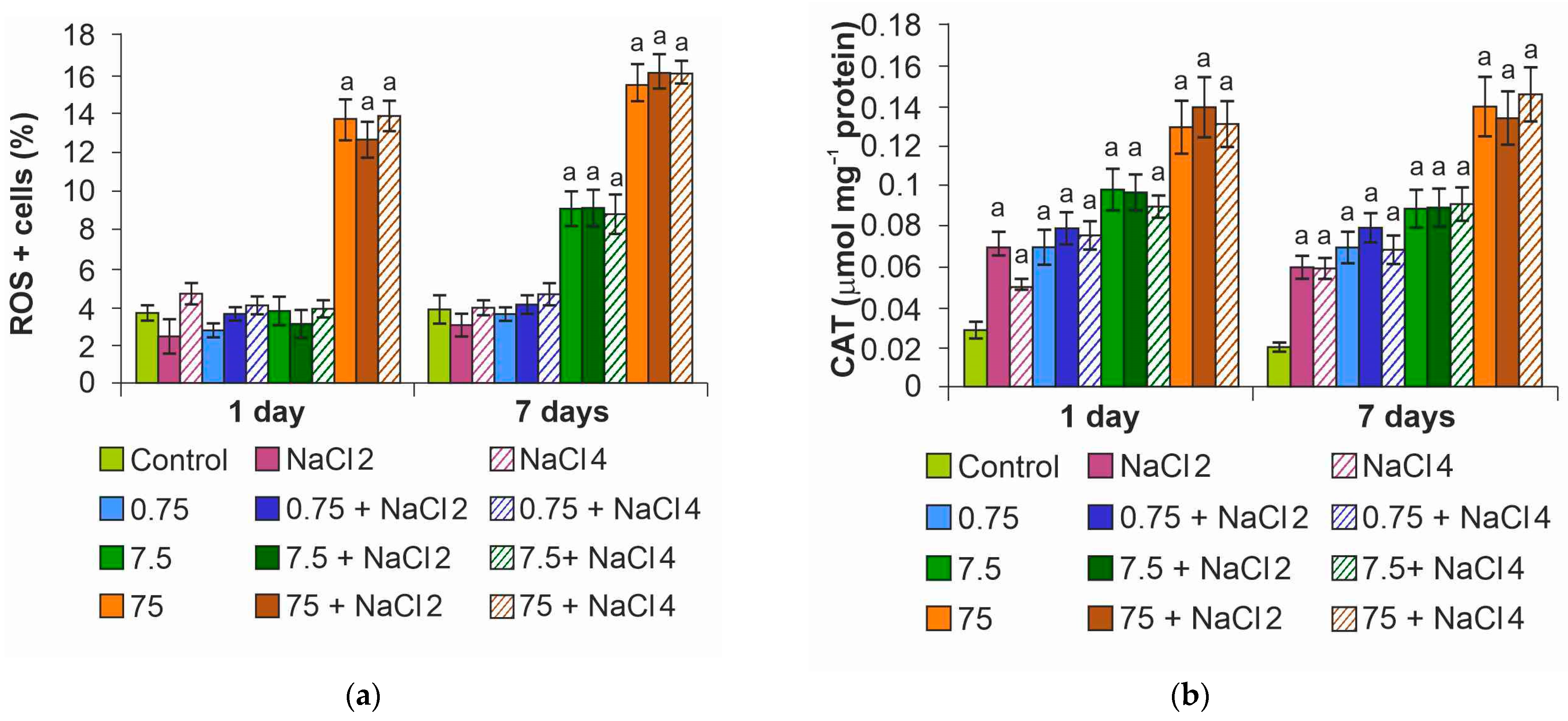 Ijms 26 09455 g006 Ijms 26 09455 g006