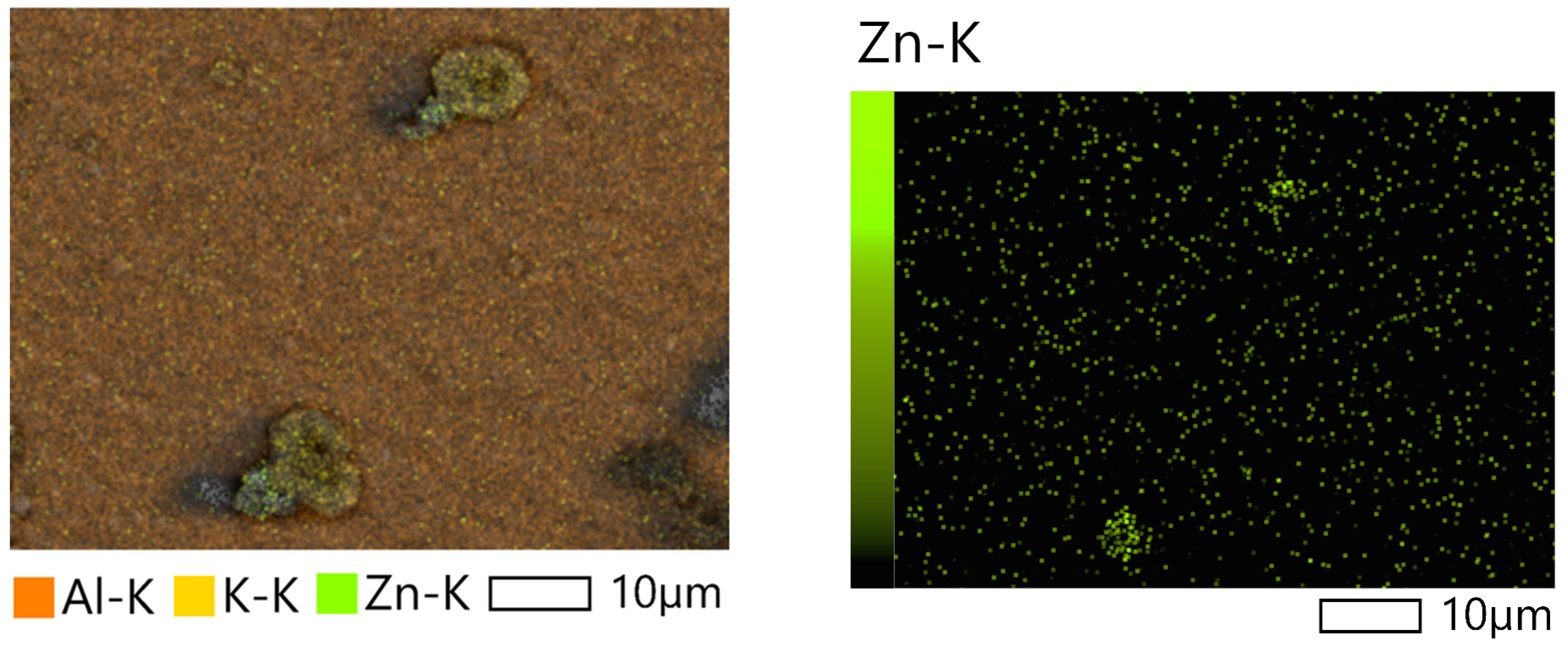 Ijms 26 09455 g008 Ijms 26 09455 g008