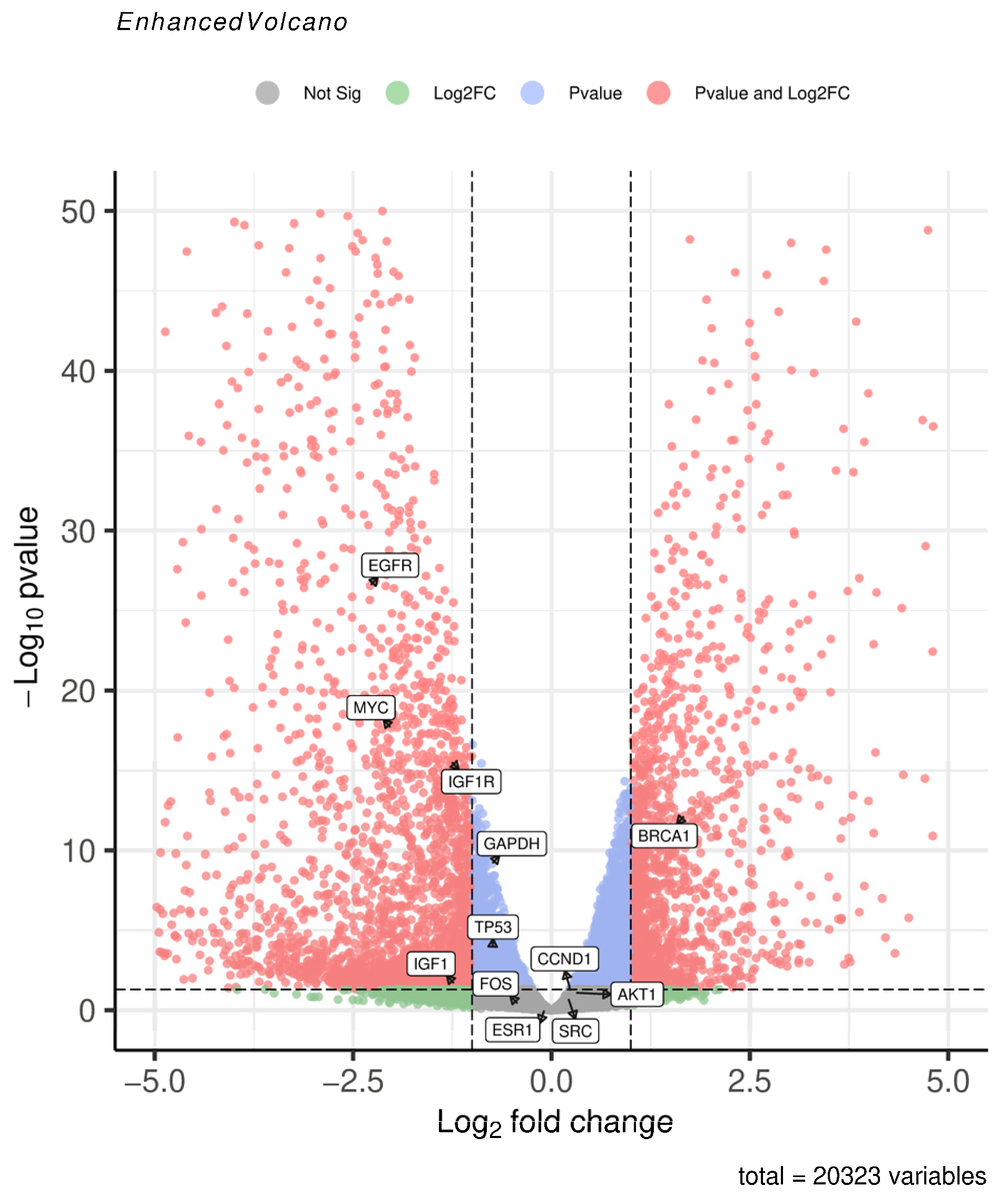 Ijms 26 09458 g003 Ijms 26 09458 g003