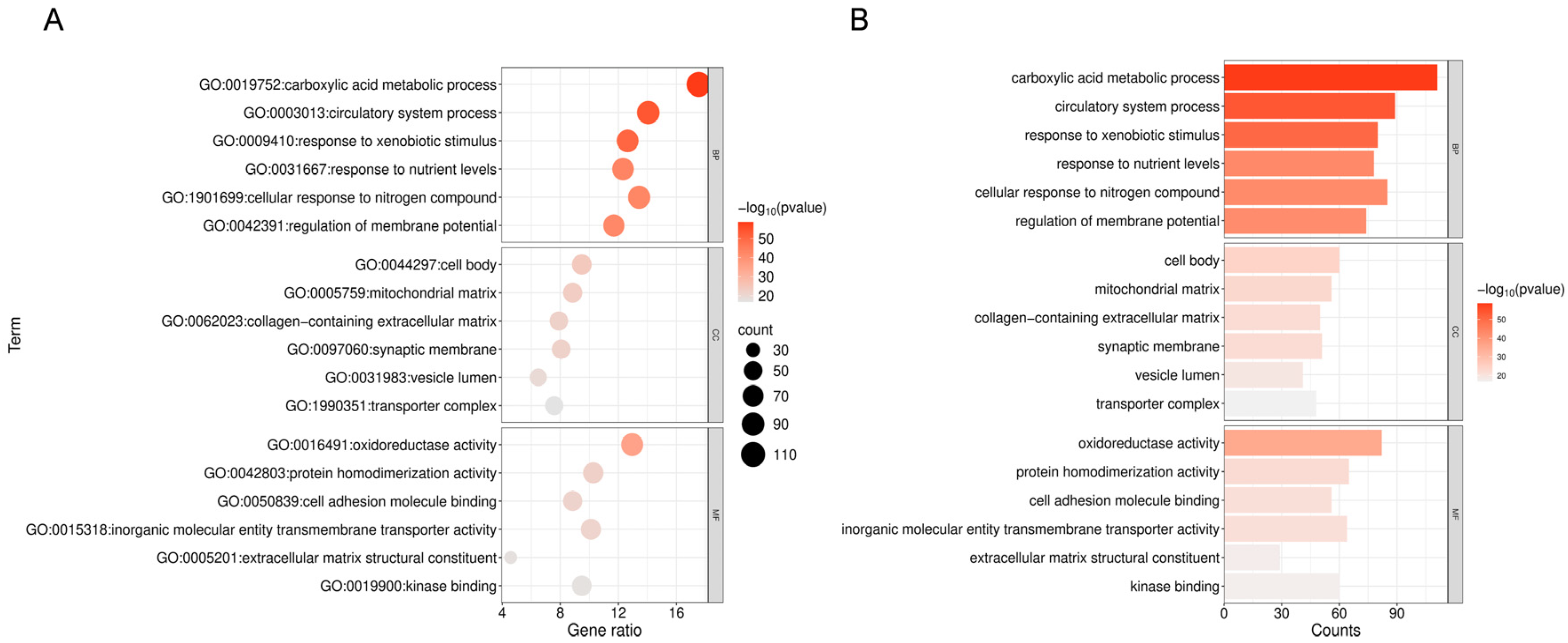Ijms 26 09458 g004 Ijms 26 09458 g004