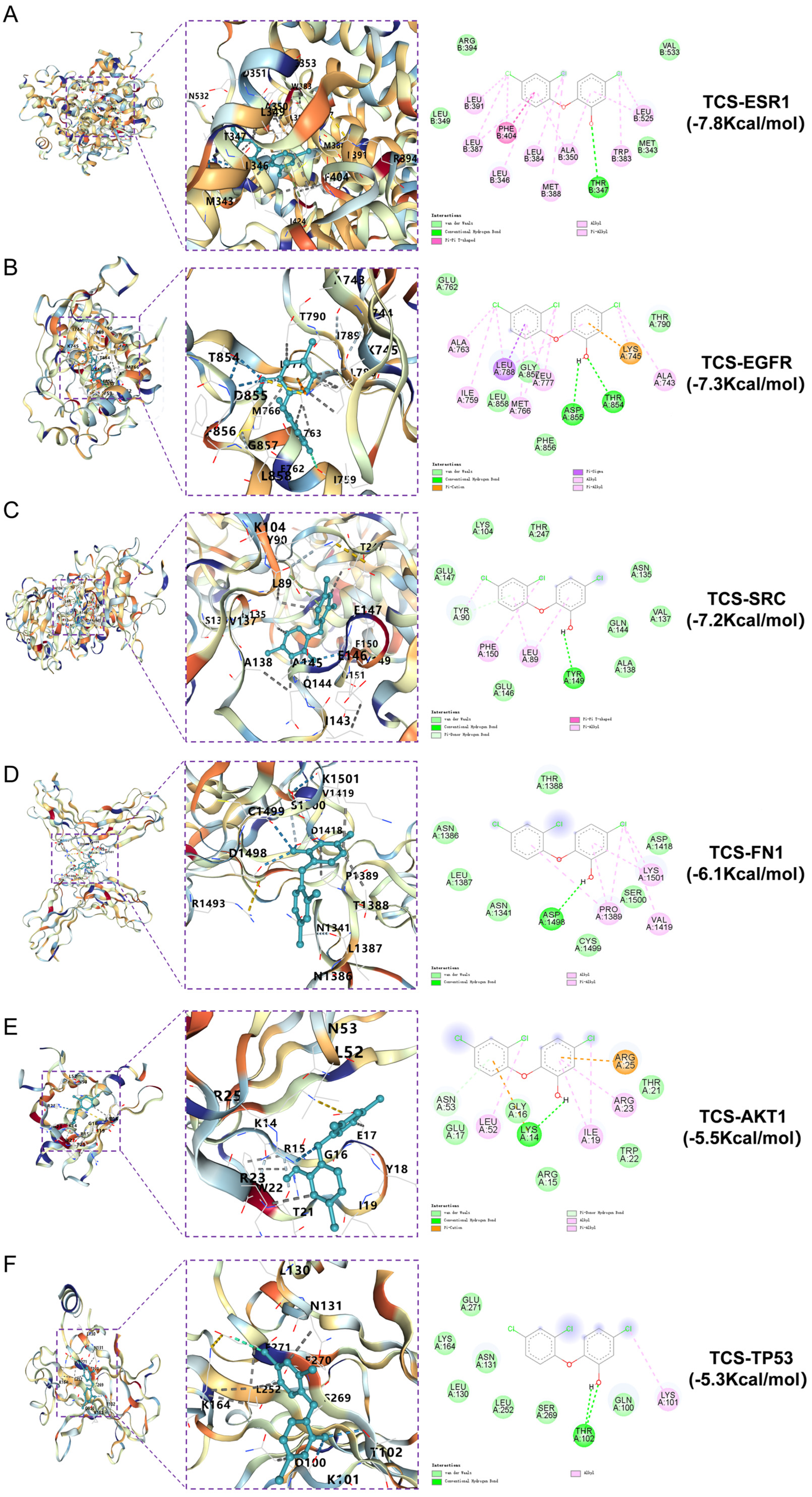 Ijms 26 09458 g006 Ijms 26 09458 g006