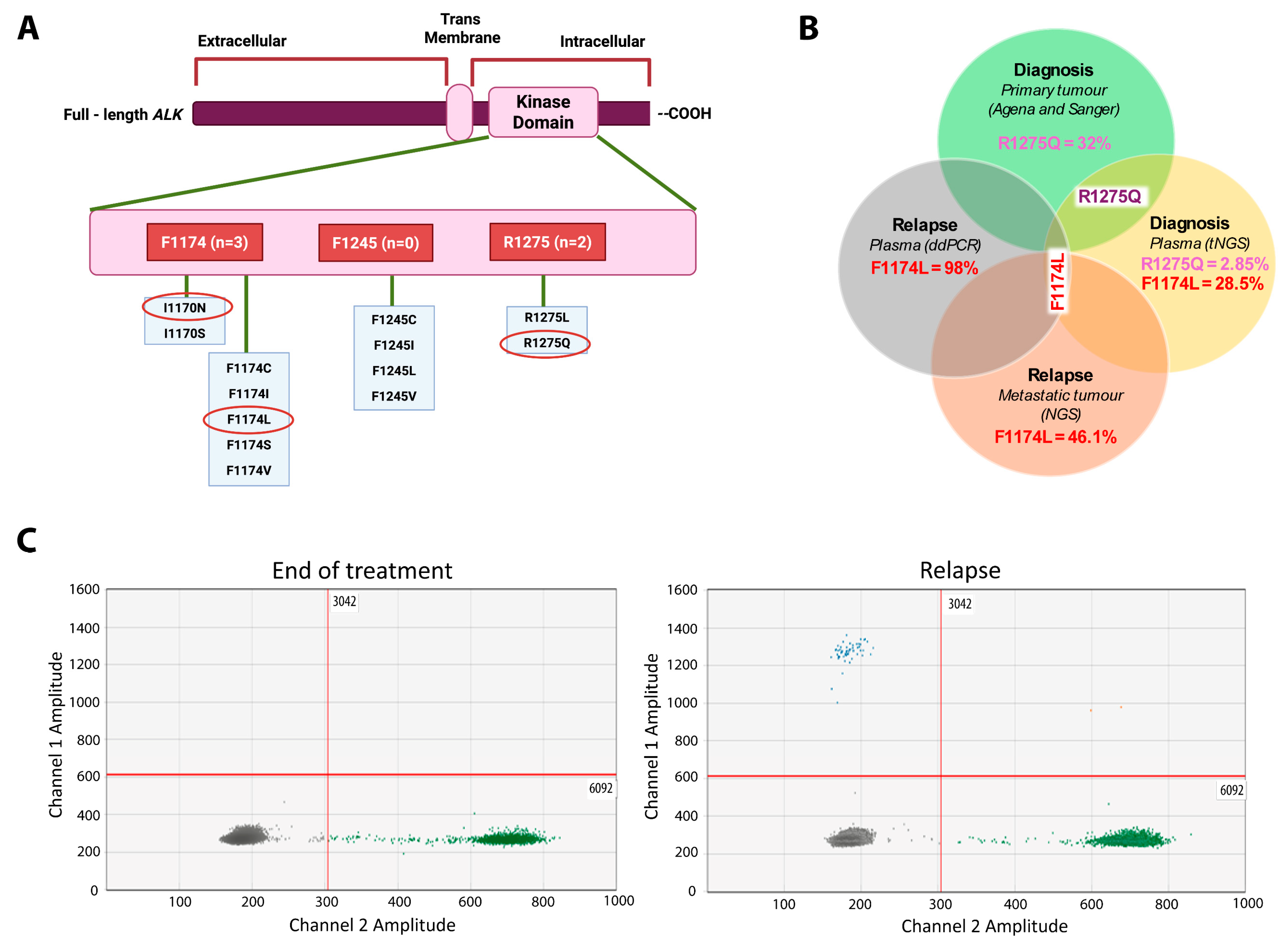 Ijms 26 09466 g002 Ijms 26 09466 g002