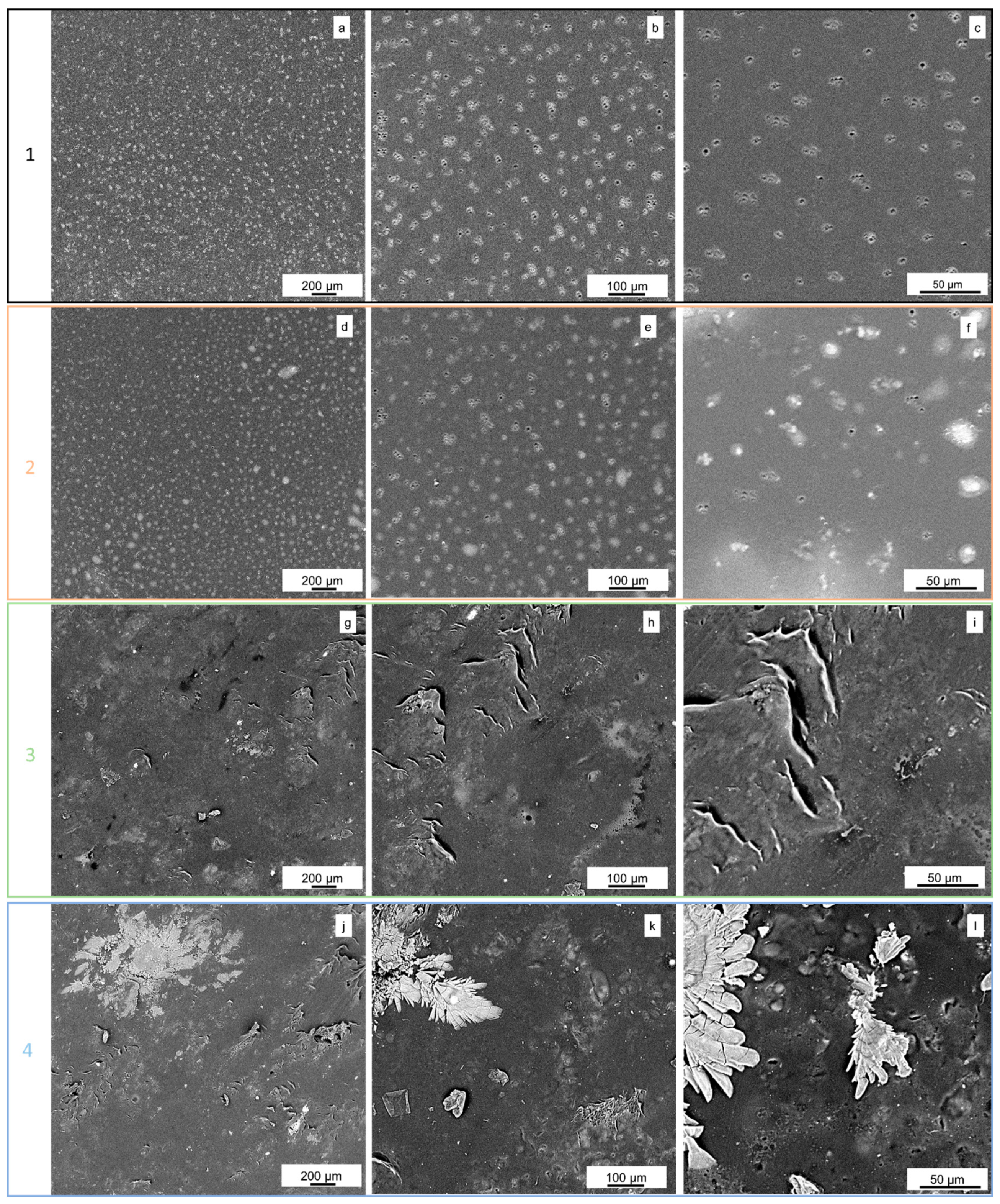 Ijms 26 09470 g004 Ijms 26 09470 g004