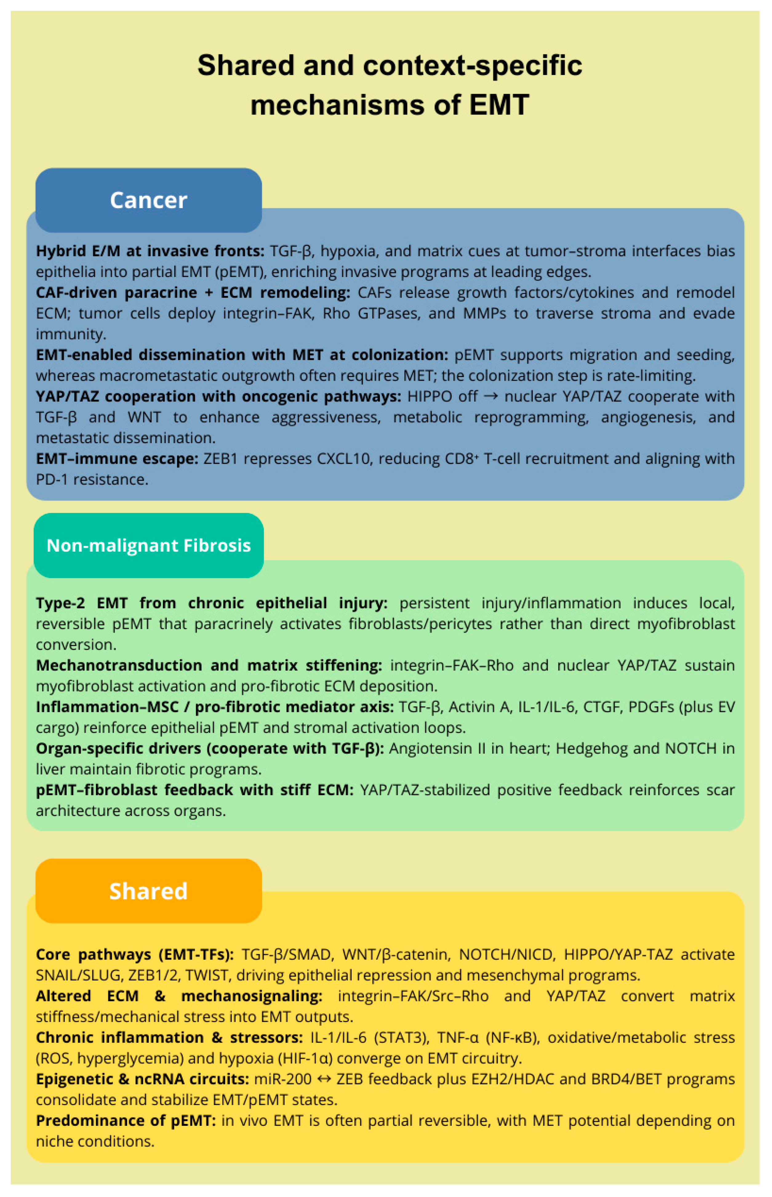 Ijms 26 09476 g002 Ijms 26 09476 g002