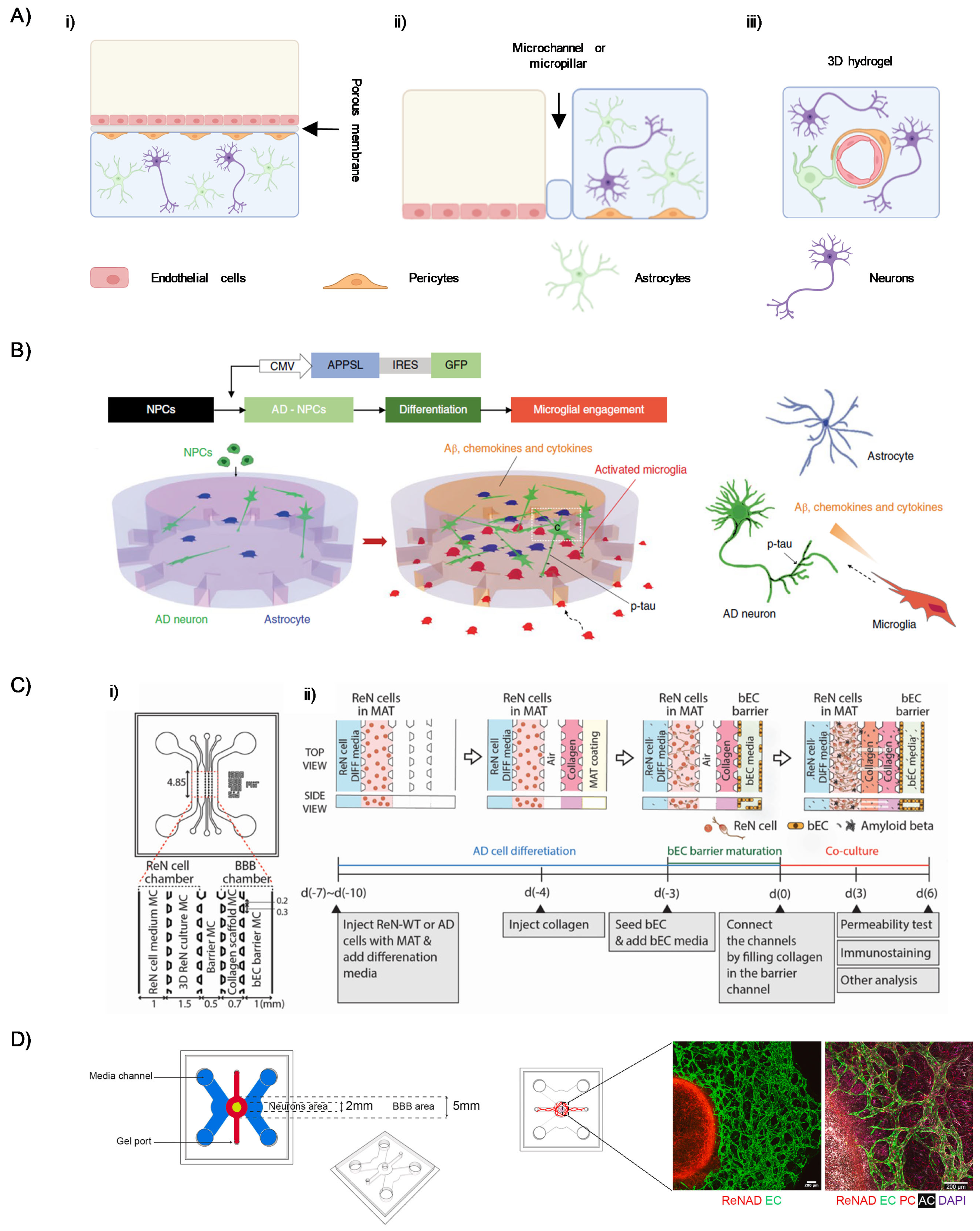 Ijms 26 09478 g002 Ijms 26 09478 g002