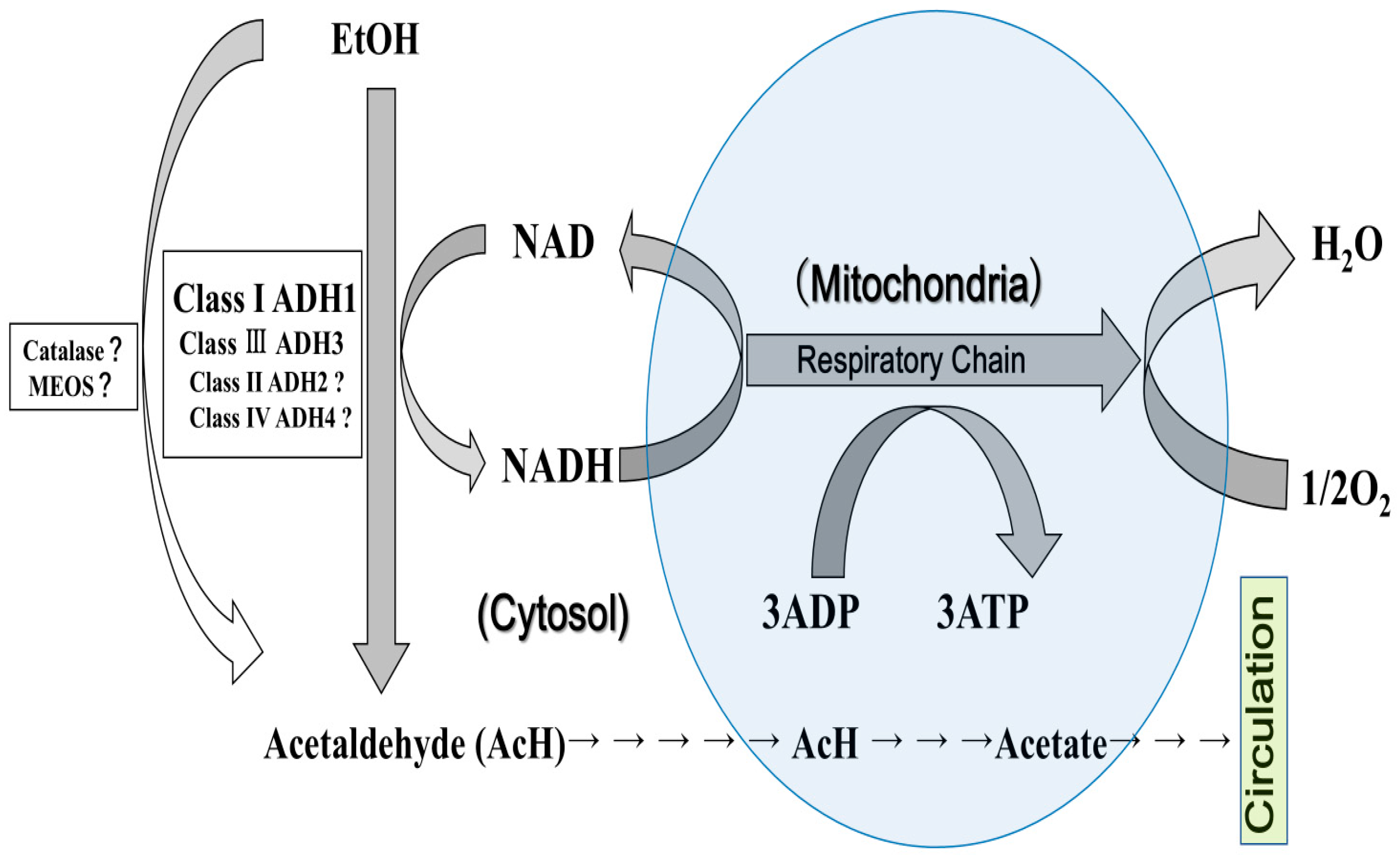 Ijms 26 09479 g002 Ijms 26 09479 g002