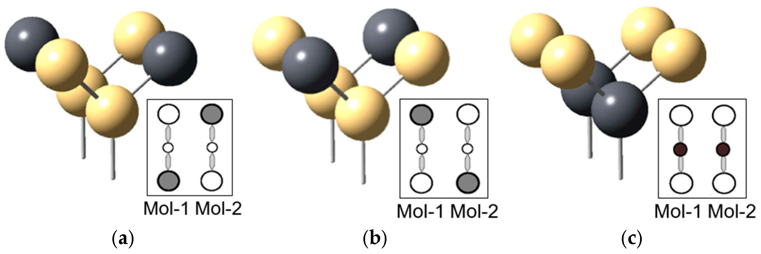 Ijms 26 09480 g009 Ijms 26 09480 g009