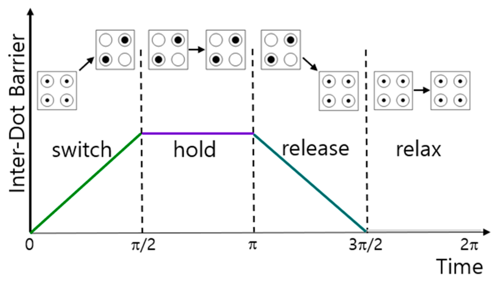 Ijms 26 09480 g012 Ijms 26 09480 g012