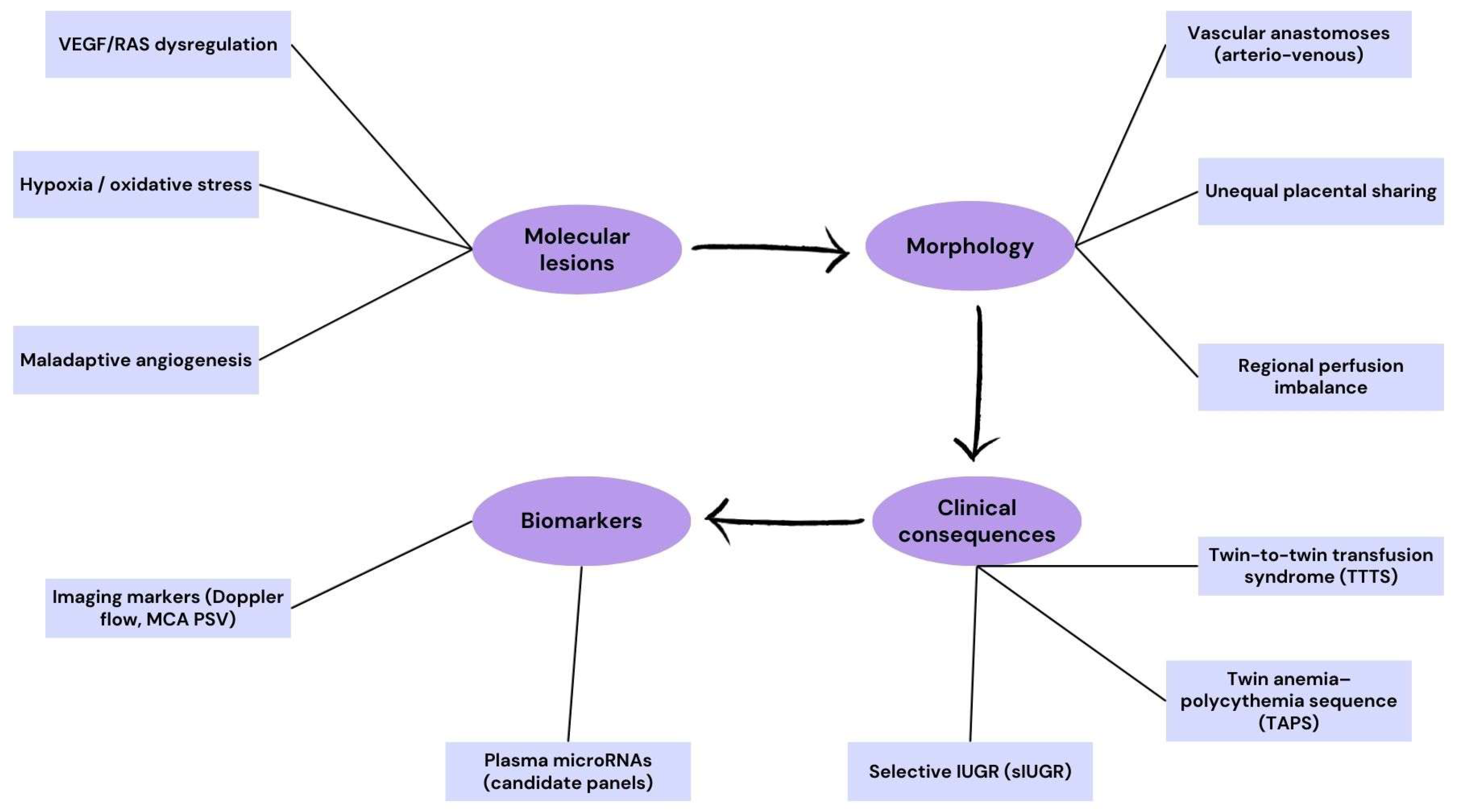 Ijms 26 09483 g004 Ijms 26 09483 g004