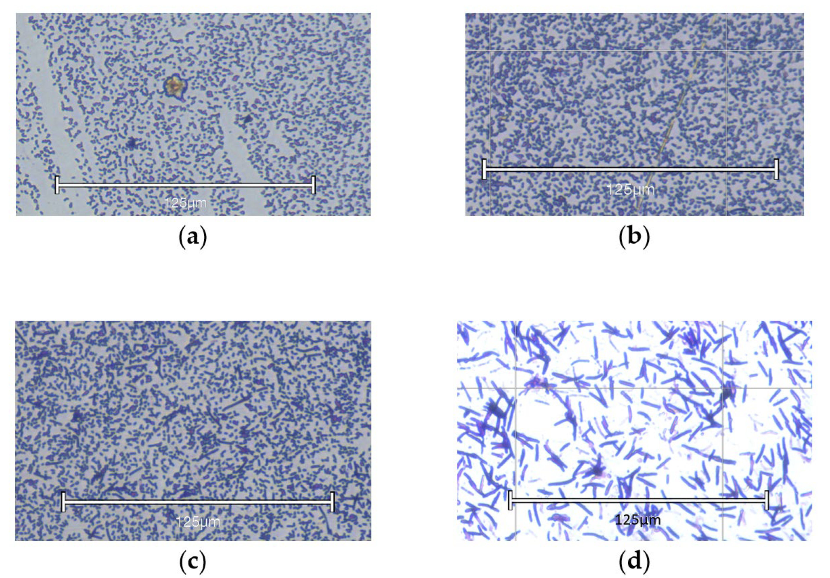 Ijms 26 09484 g002 Ijms 26 09484 g002