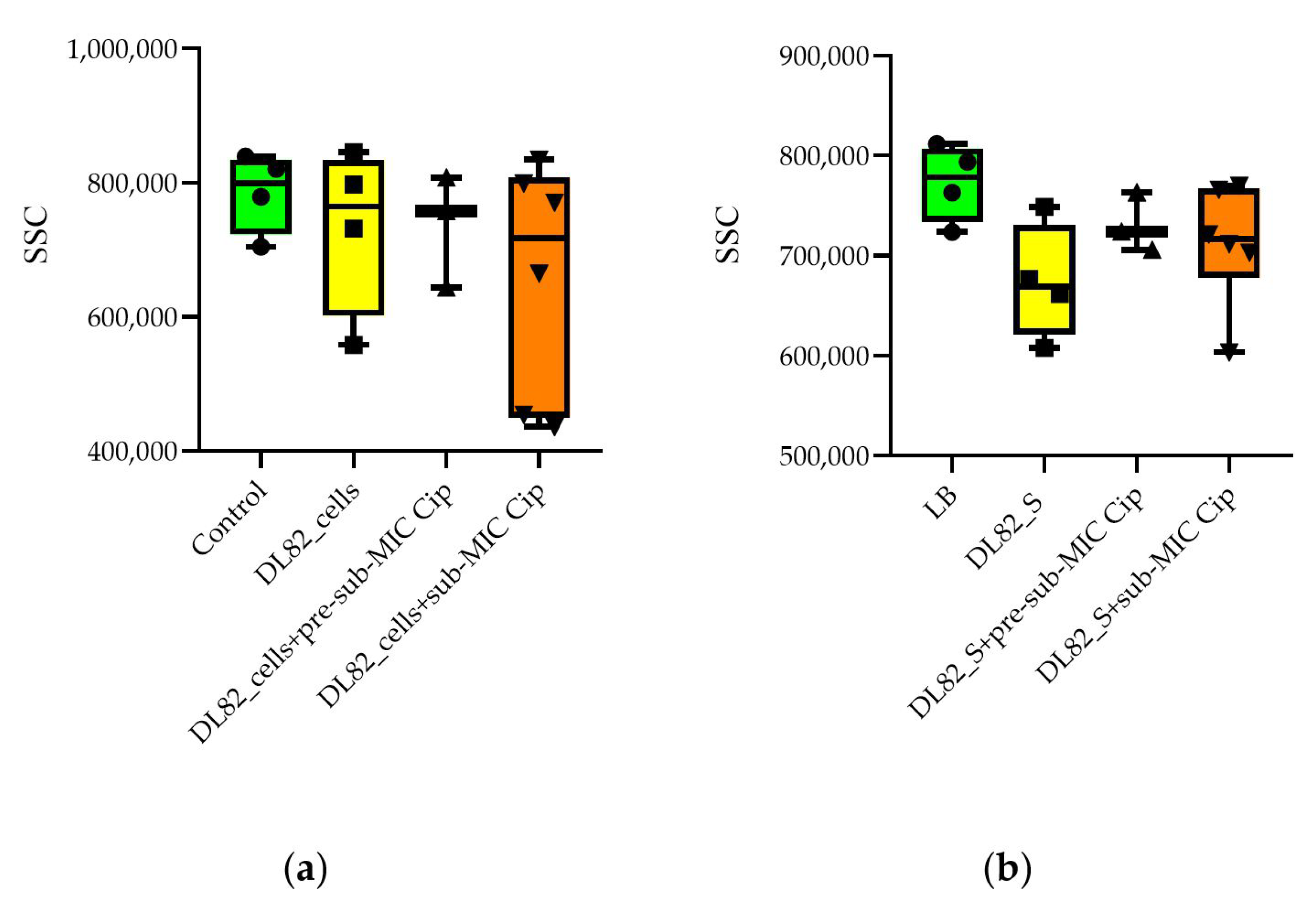 Ijms 26 09484 g006 Ijms 26 09484 g006