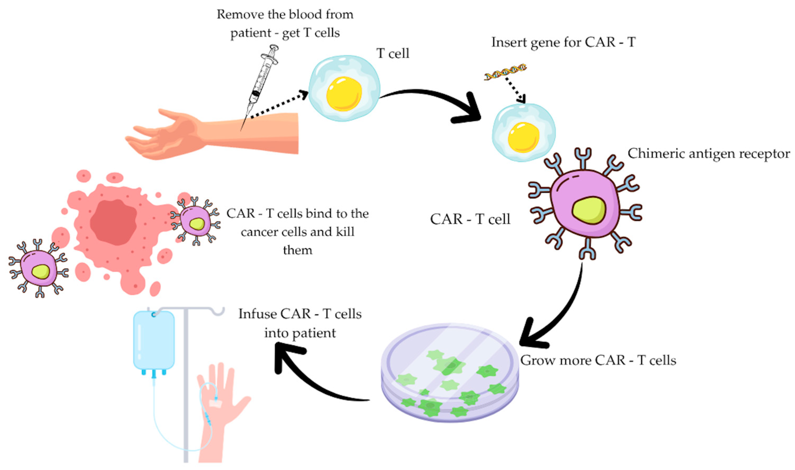 Ijms 26 09486 g001 Ijms 26 09486 g001