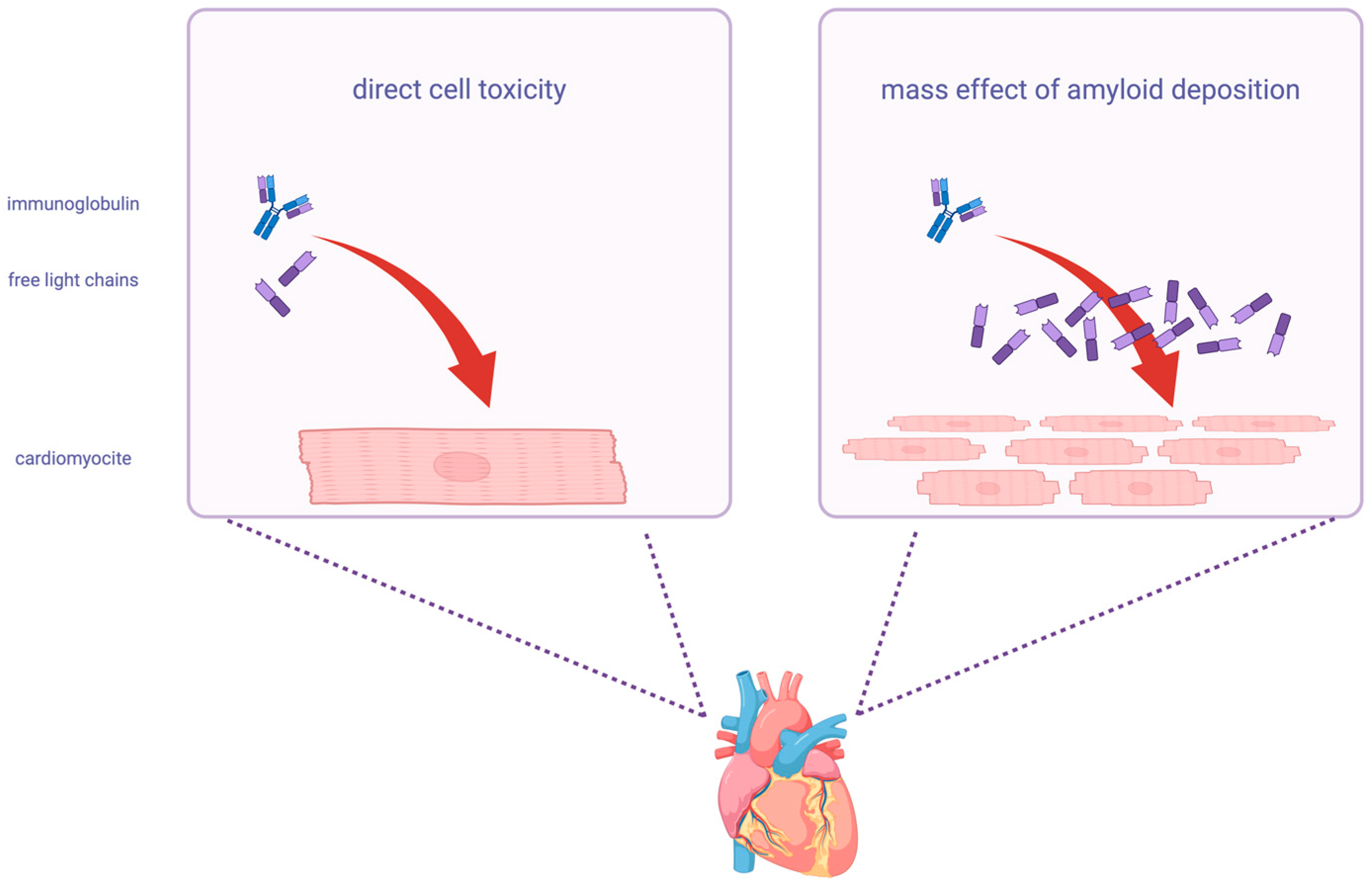 Ijms 26 09511 g001 Ijms 26 09511 g001