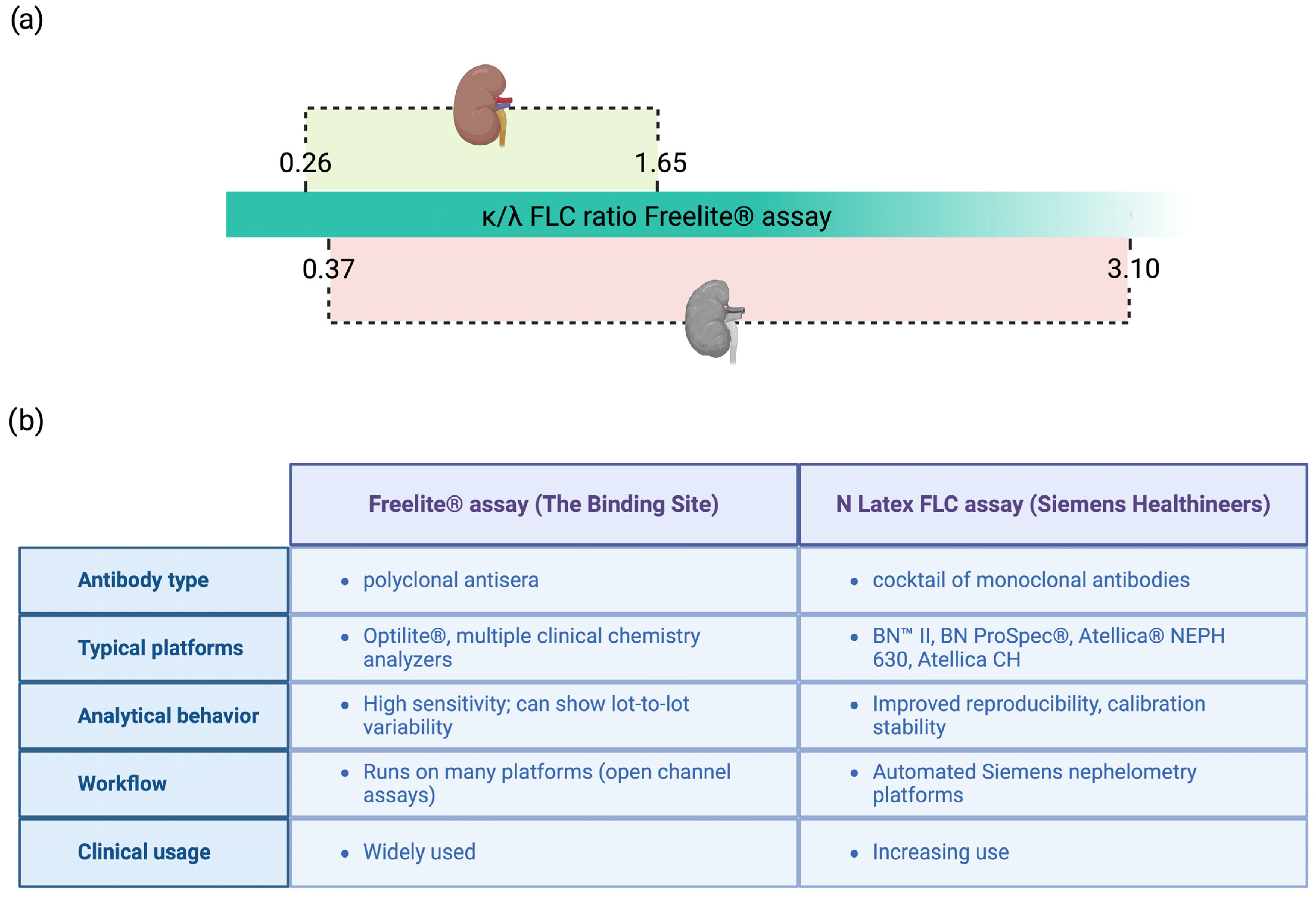 Ijms 26 09511 g002 Ijms 26 09511 g002