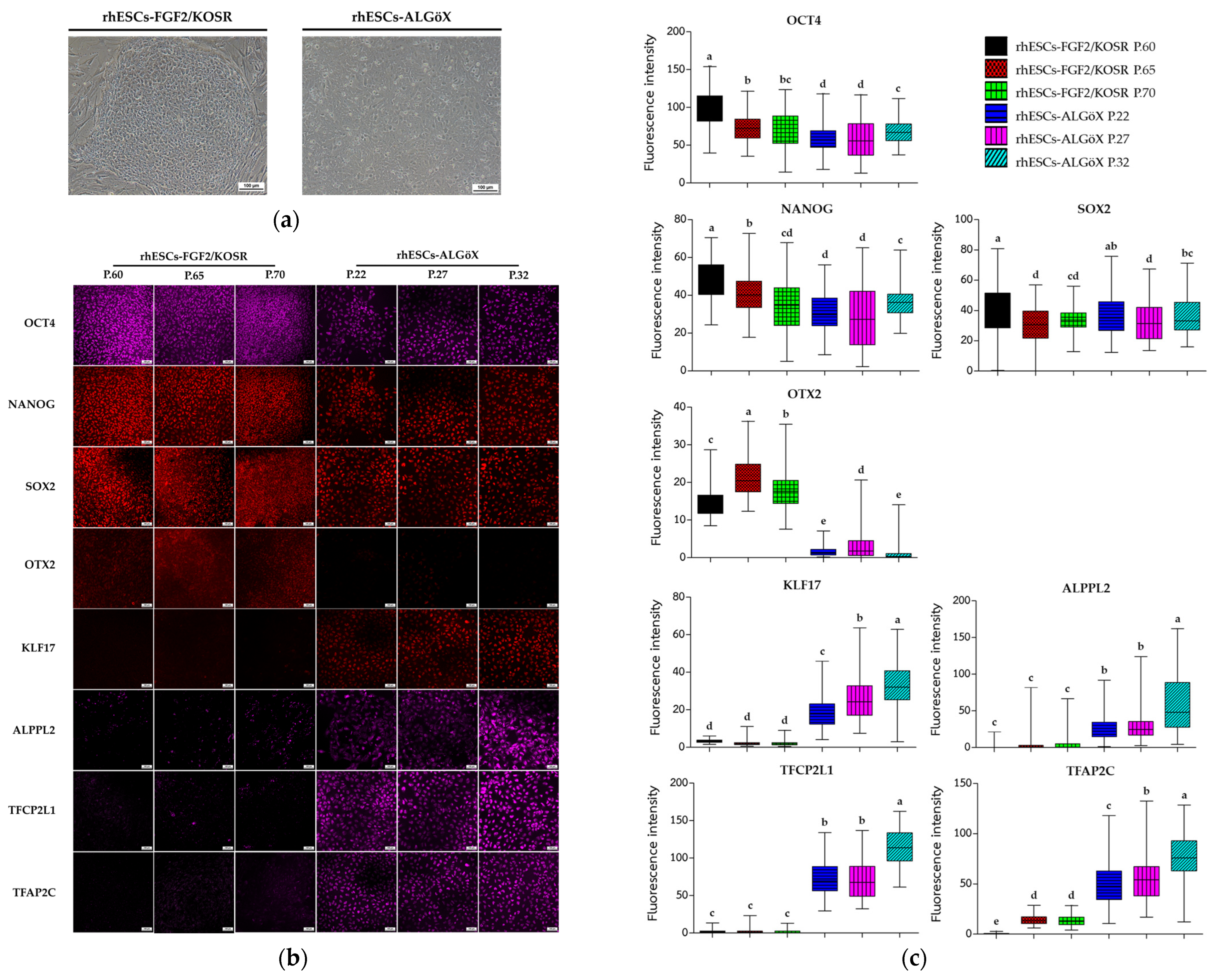 Ijms 26 09514 g001 Ijms 26 09514 g001