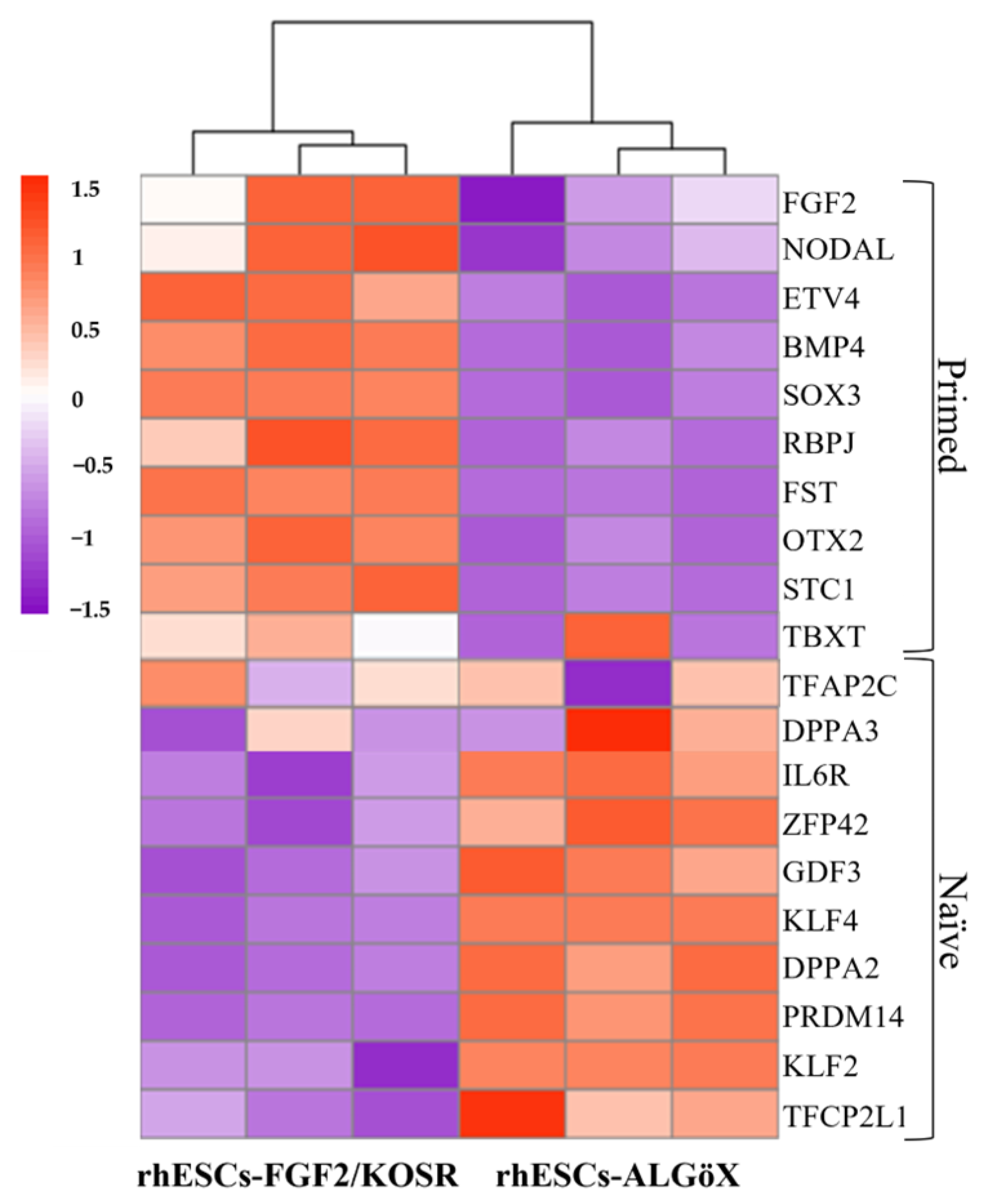 Ijms 26 09514 g002 Ijms 26 09514 g002