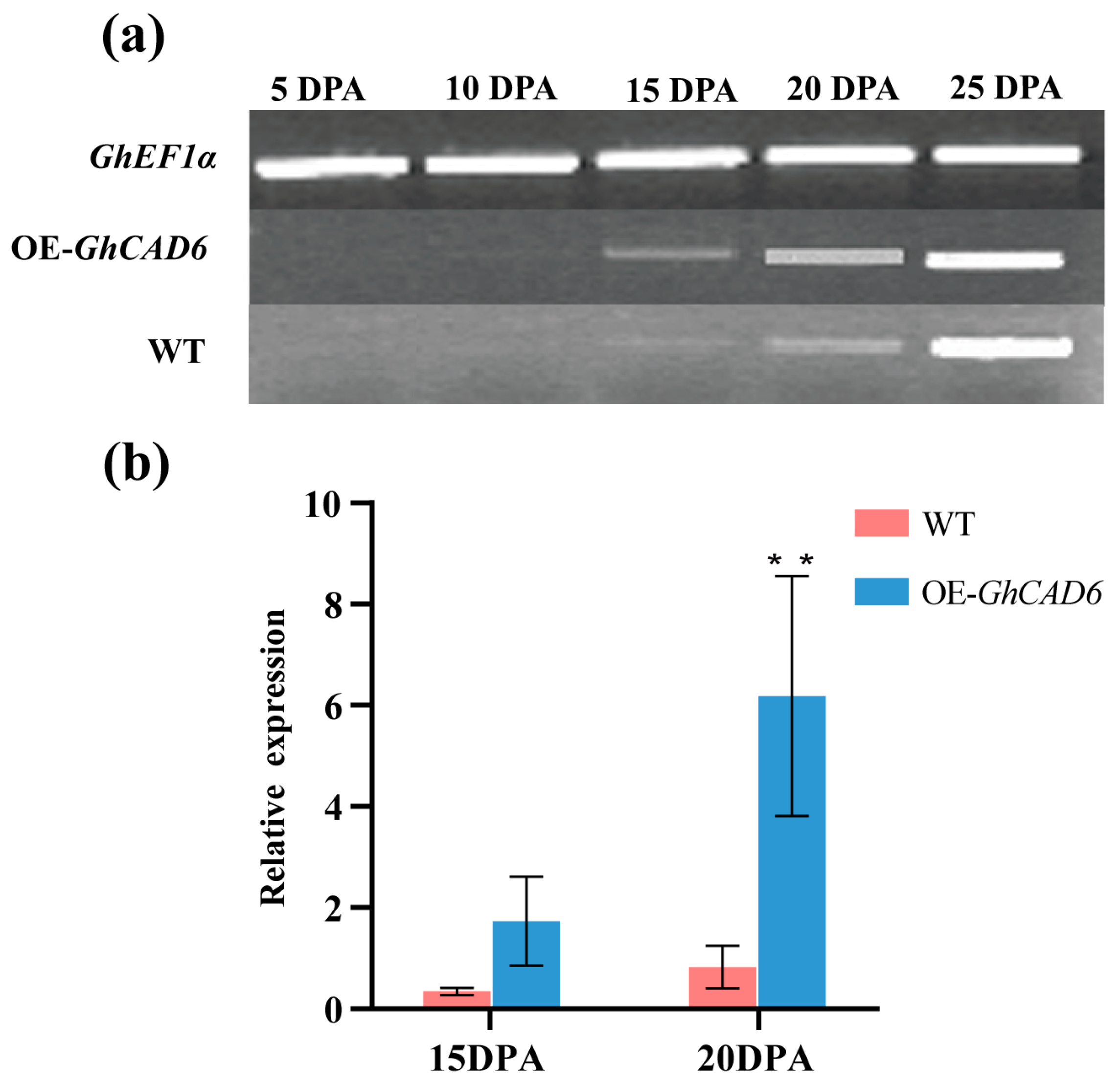 Ijms 26 09518 g002 Ijms 26 09518 g002