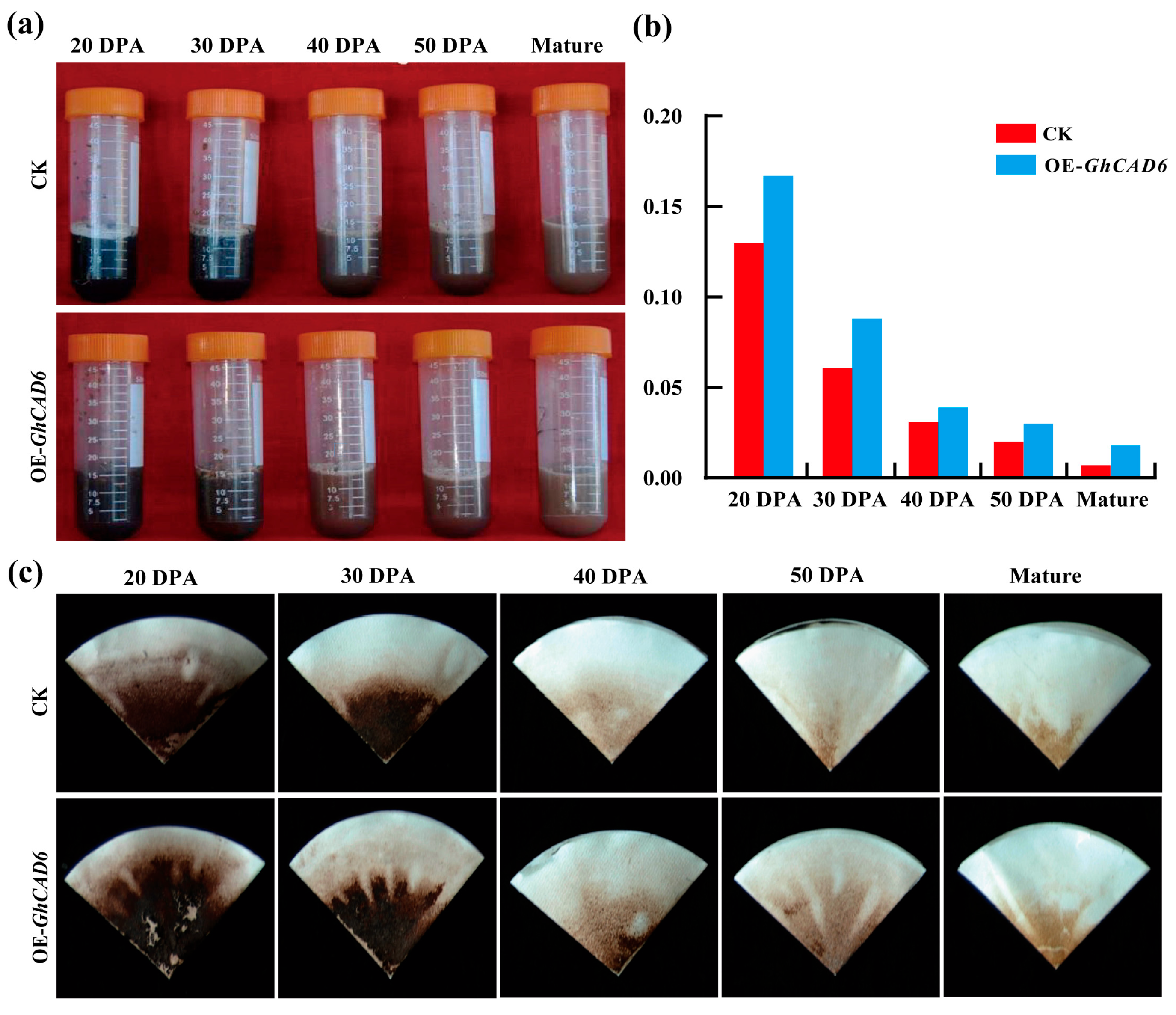 Ijms 26 09518 g003 Ijms 26 09518 g003