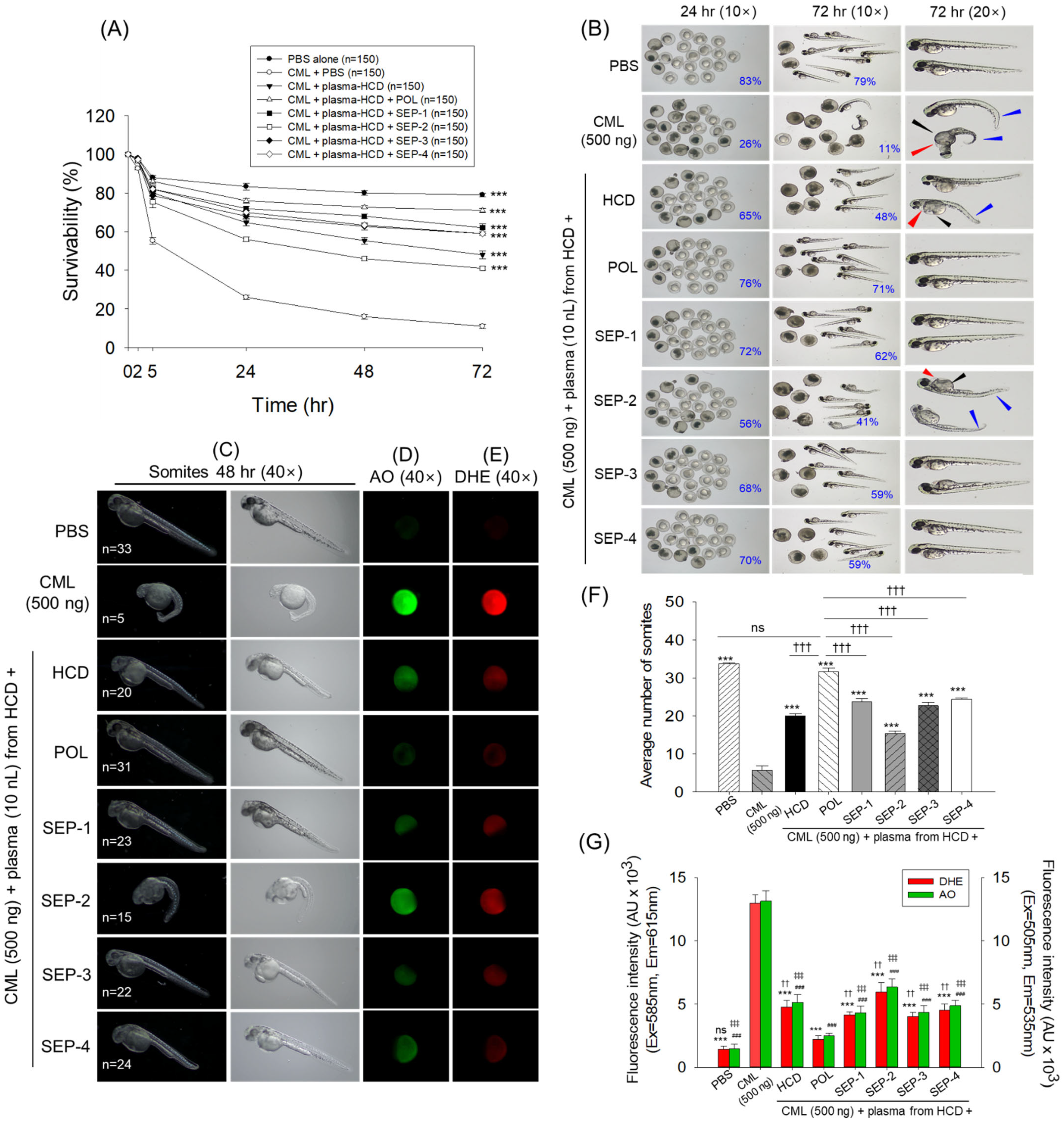 Ijms 26 09524 g005 Ijms 26 09524 g005