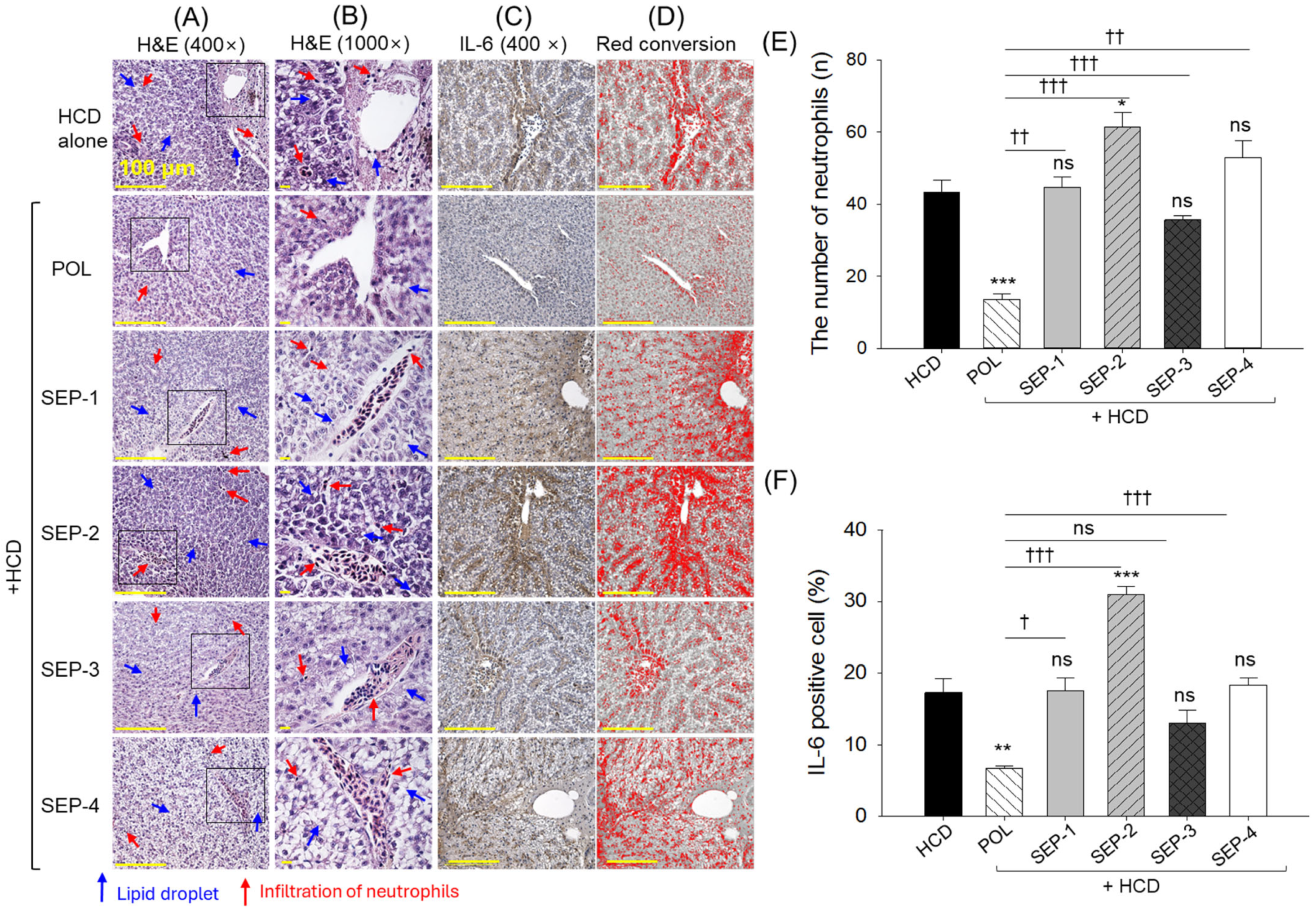 Ijms 26 09524 g006 Ijms 26 09524 g006
