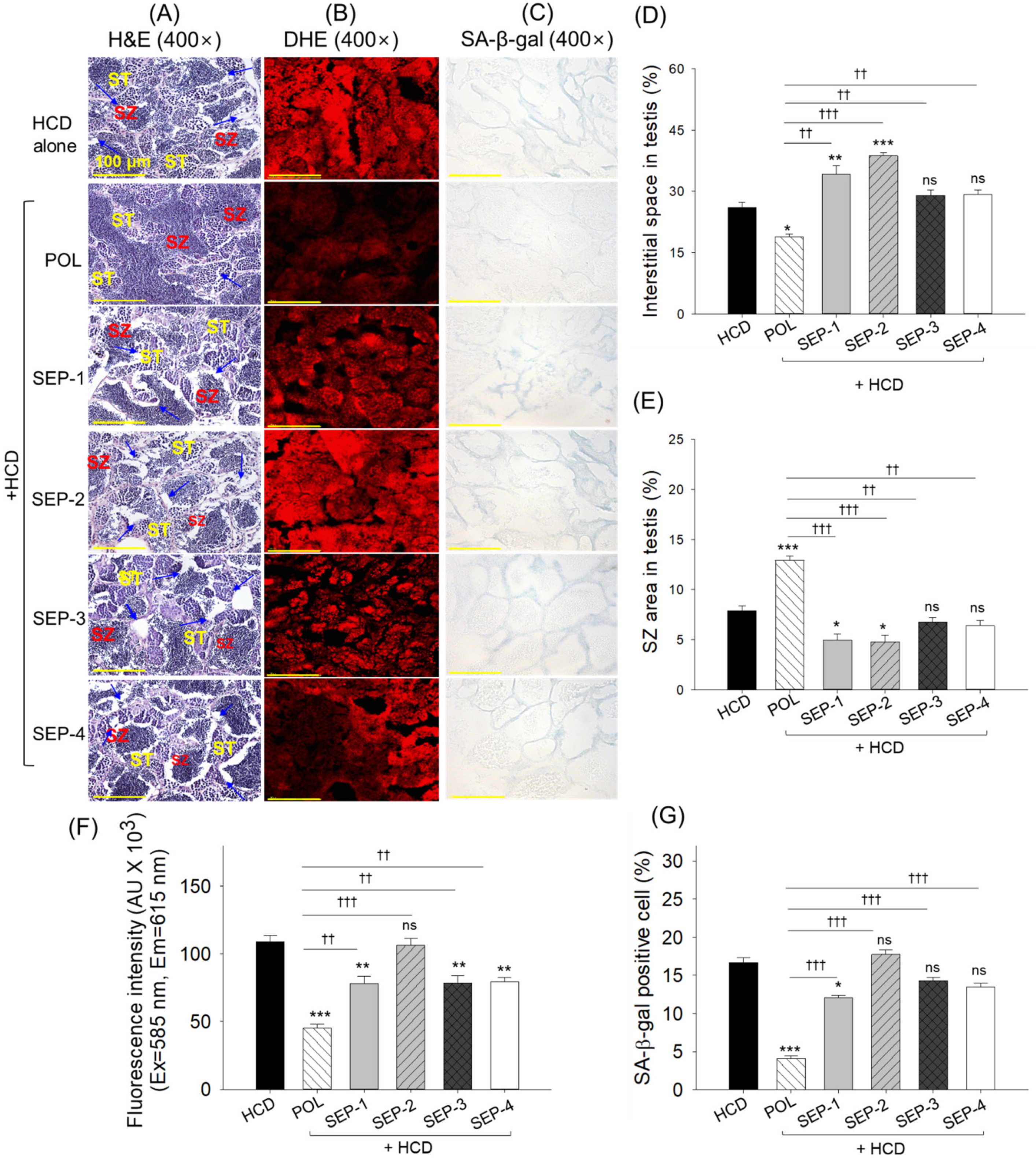 Ijms 26 09524 g010 Ijms 26 09524 g010