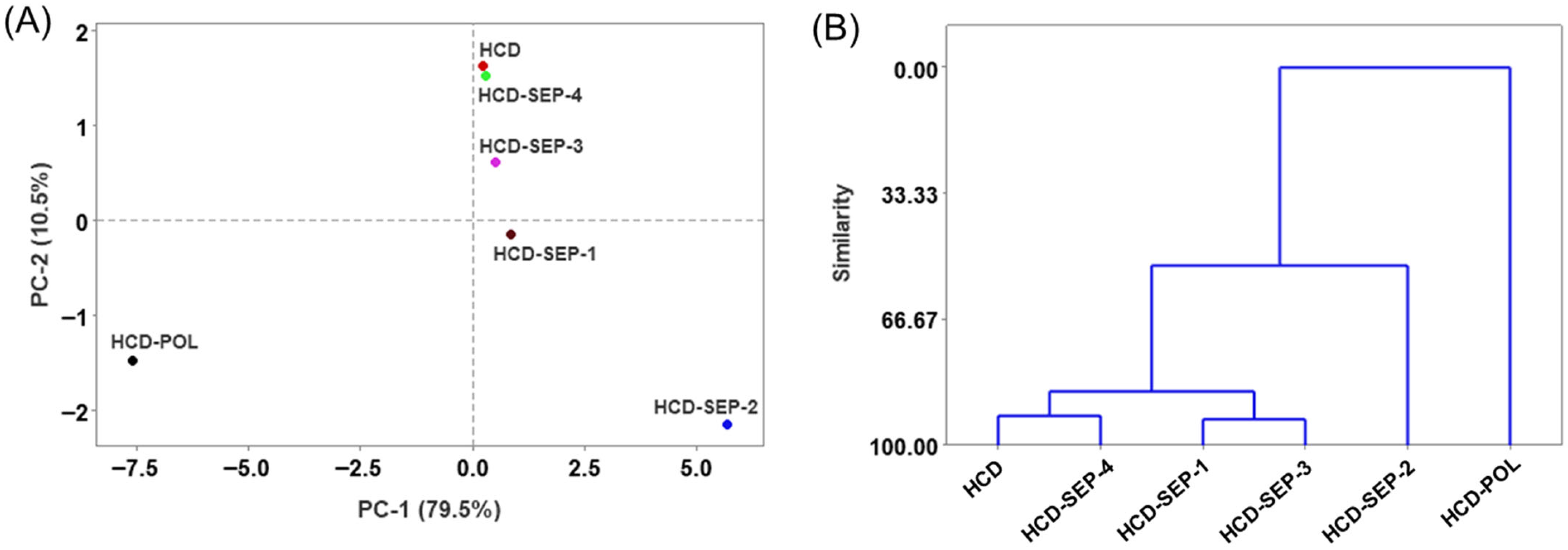 Ijms 26 09524 g012 Ijms 26 09524 g012