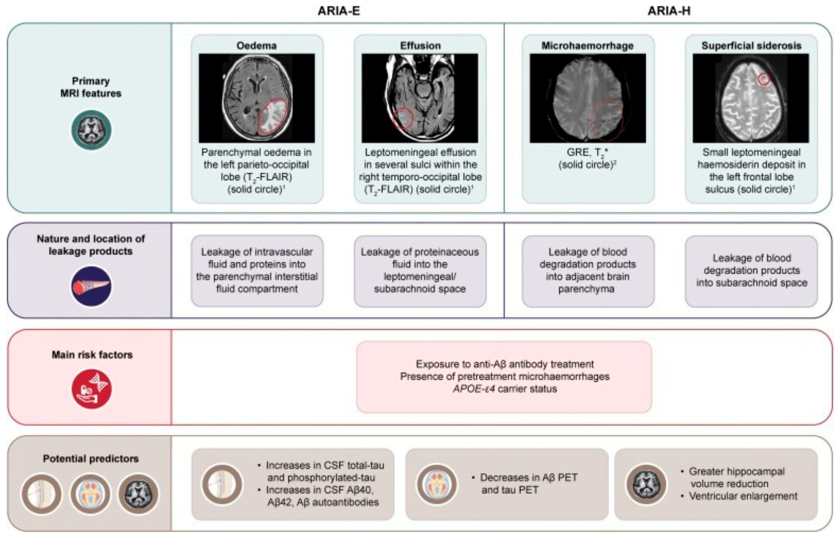 Ijms 26 09529 g001 Ijms 26 09529 g001