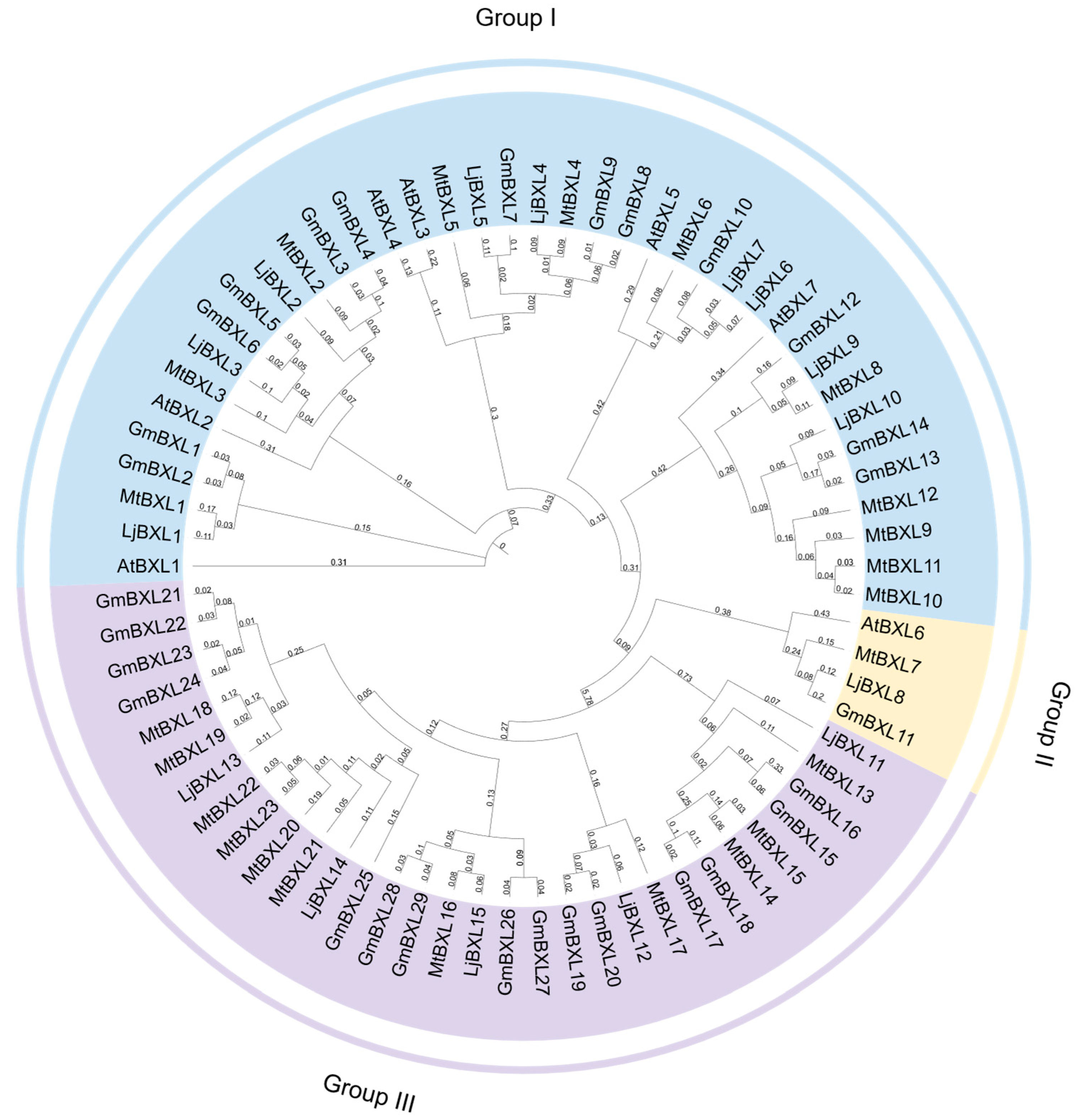 Ijms 26 09534 g001 Ijms 26 09534 g001