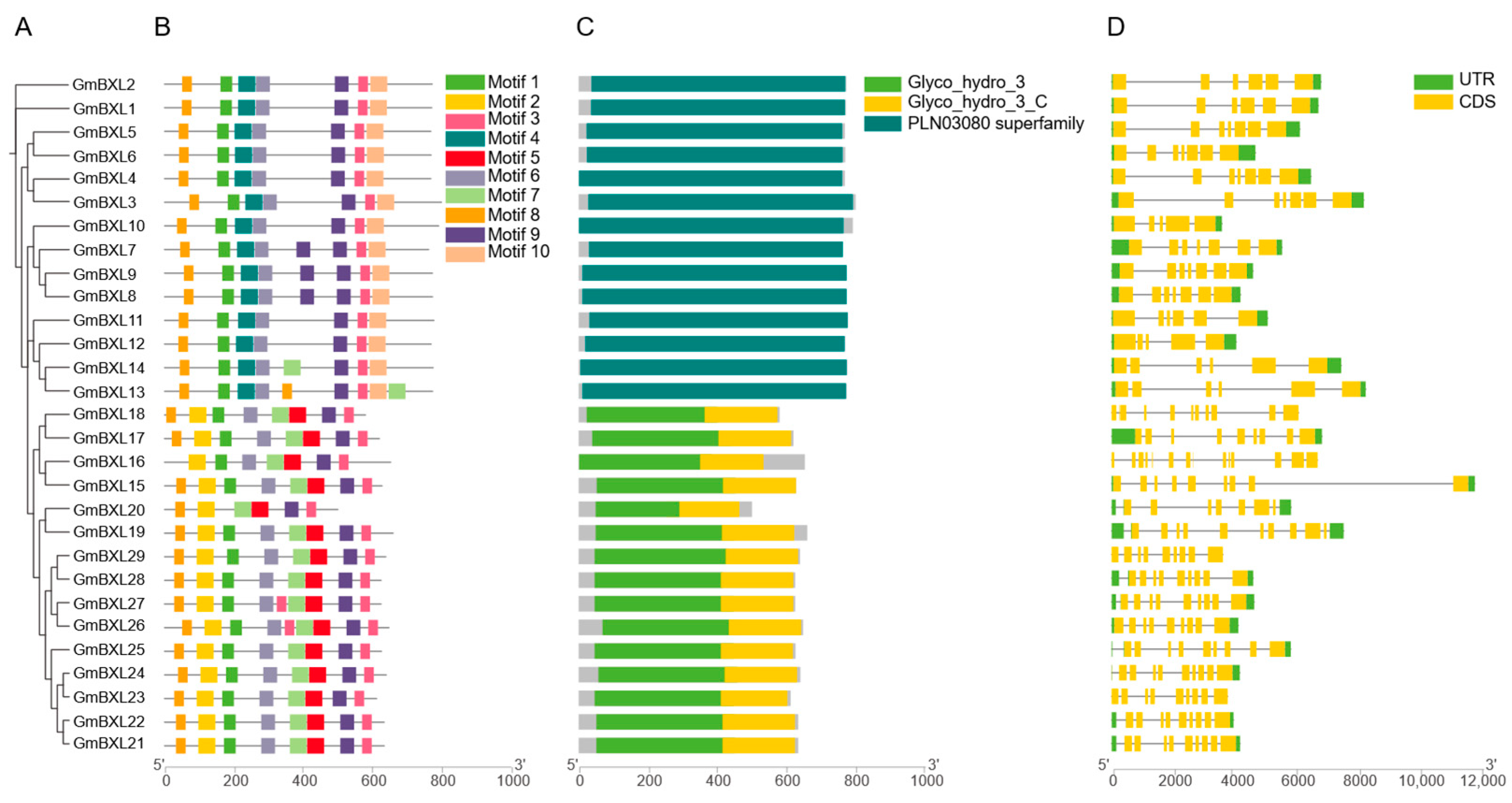 Ijms 26 09534 g004 Ijms 26 09534 g004