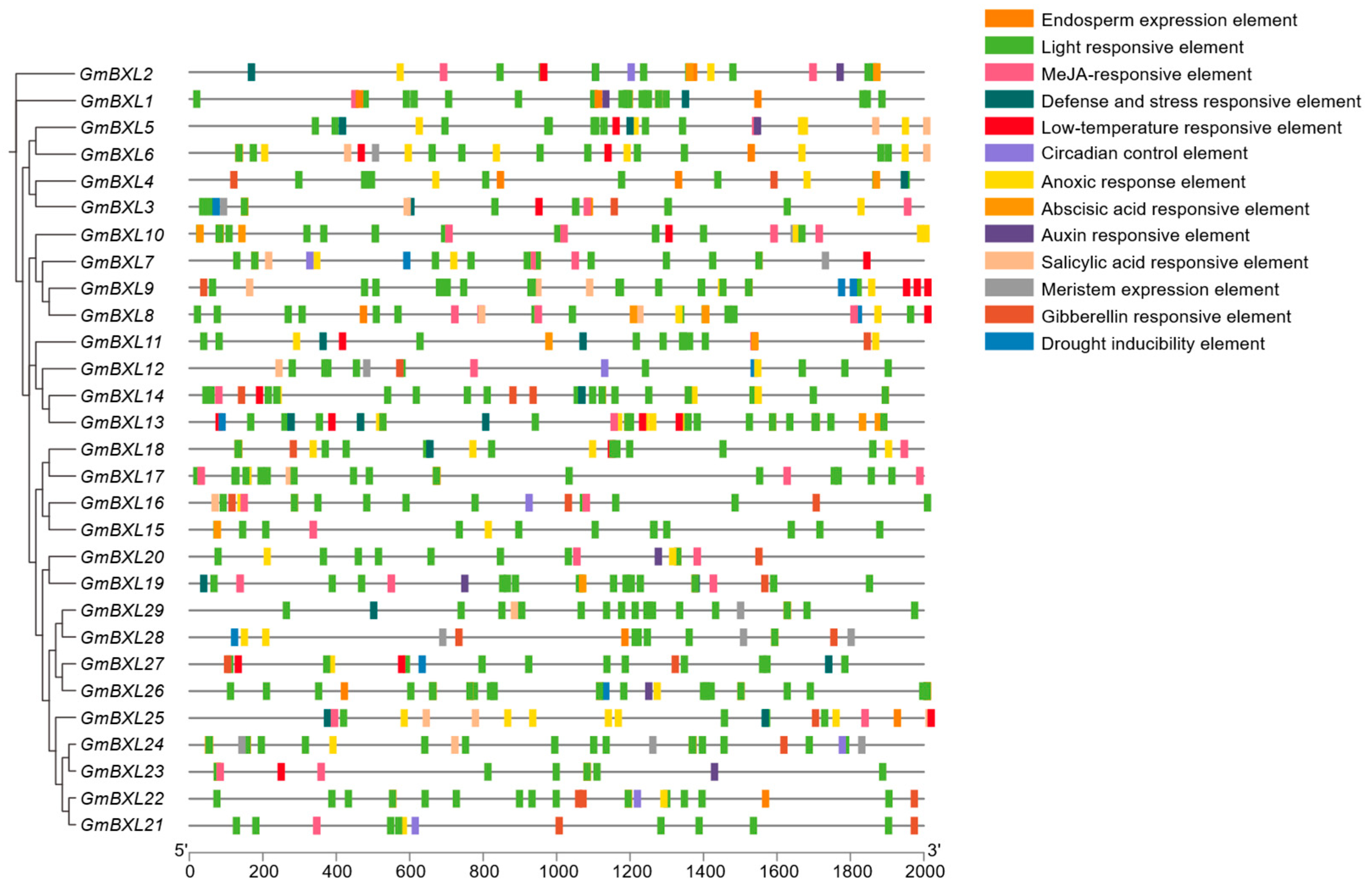 Ijms 26 09534 g005 Ijms 26 09534 g005