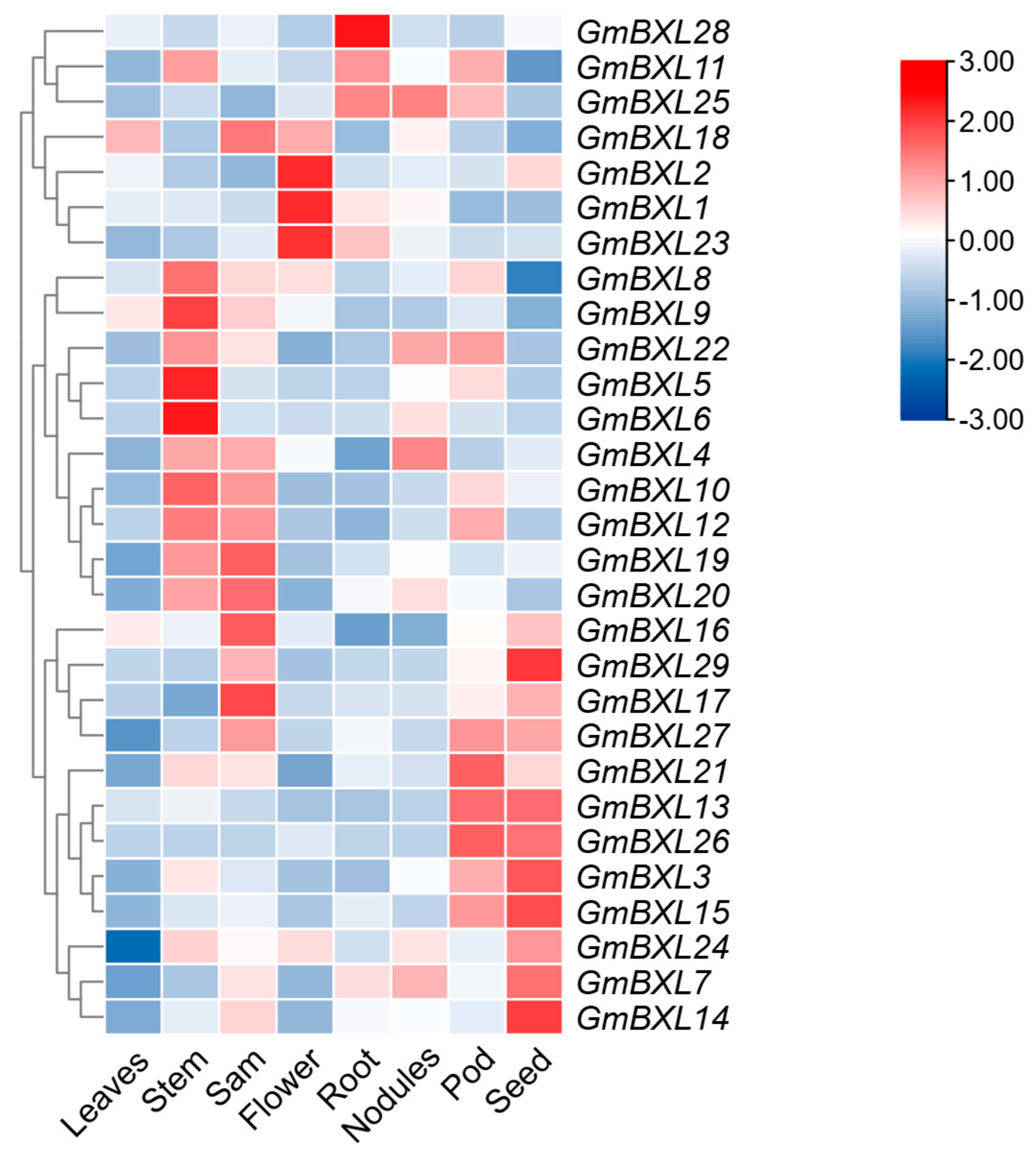 Ijms 26 09534 g006 Ijms 26 09534 g006