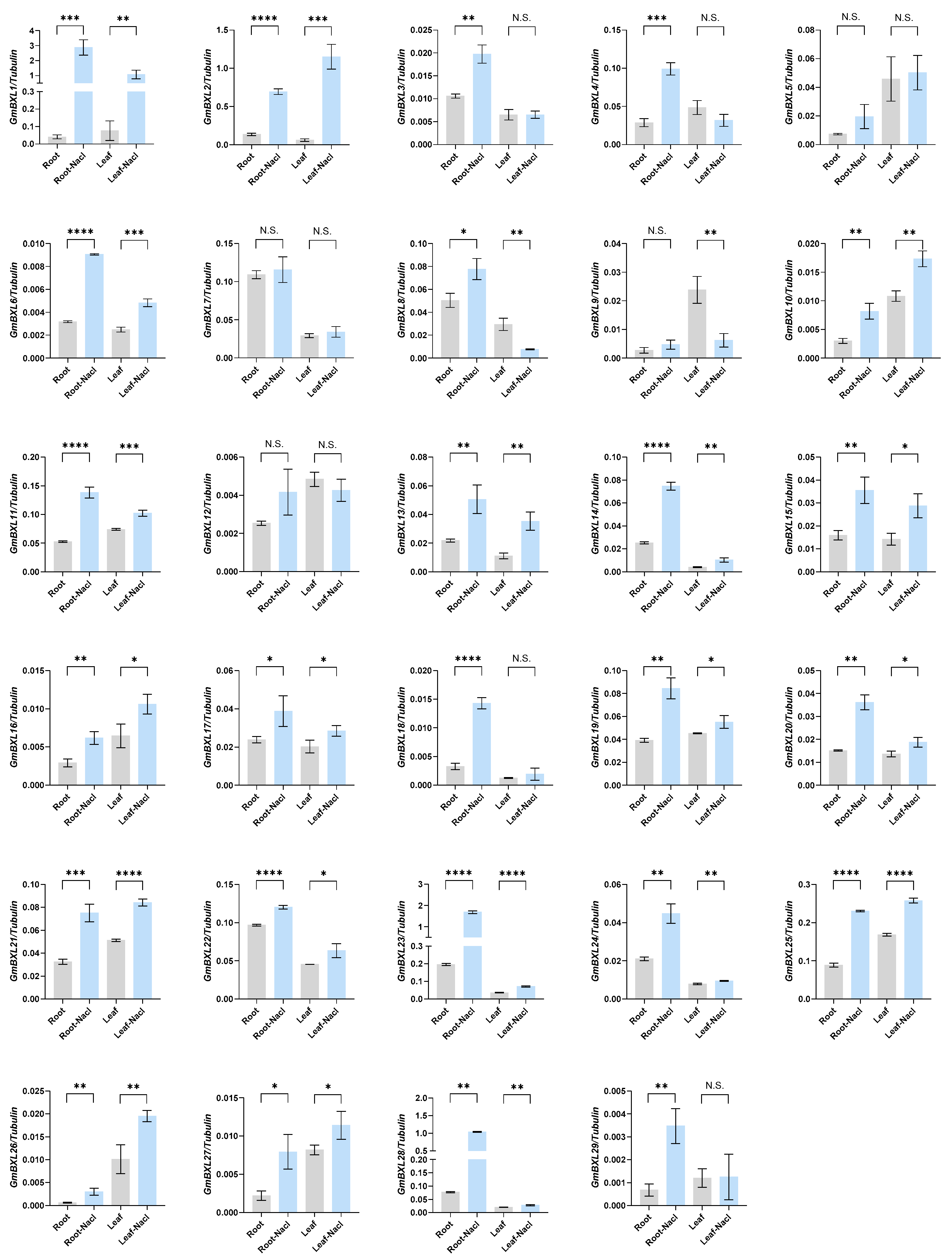 Ijms 26 09534 g007 Ijms 26 09534 g007