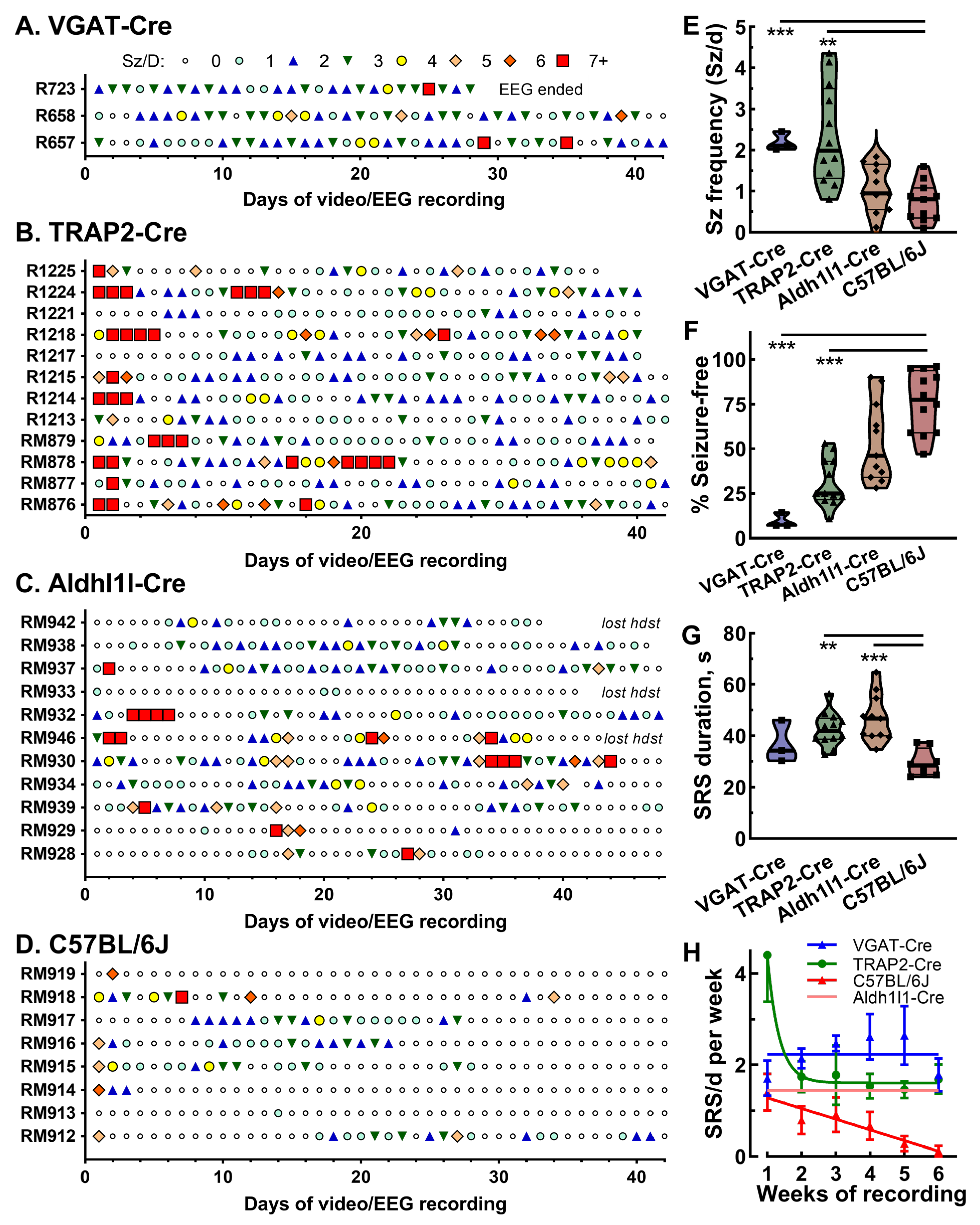 Ijms 26 09540 g005 Ijms 26 09540 g005