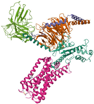 Ijms 26 09549 i003 Ijms 26 09549 i003