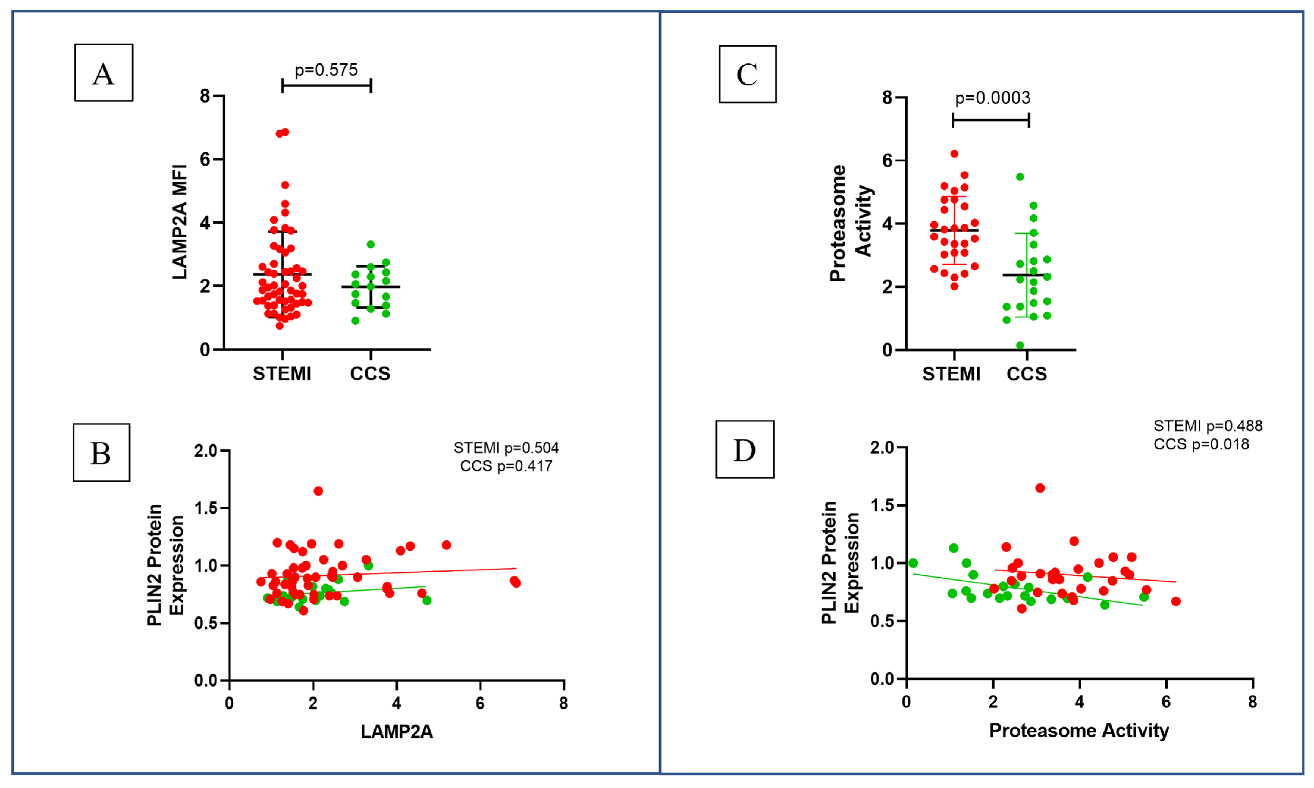 Ijms 26 09550 g003 Ijms 26 09550 g003