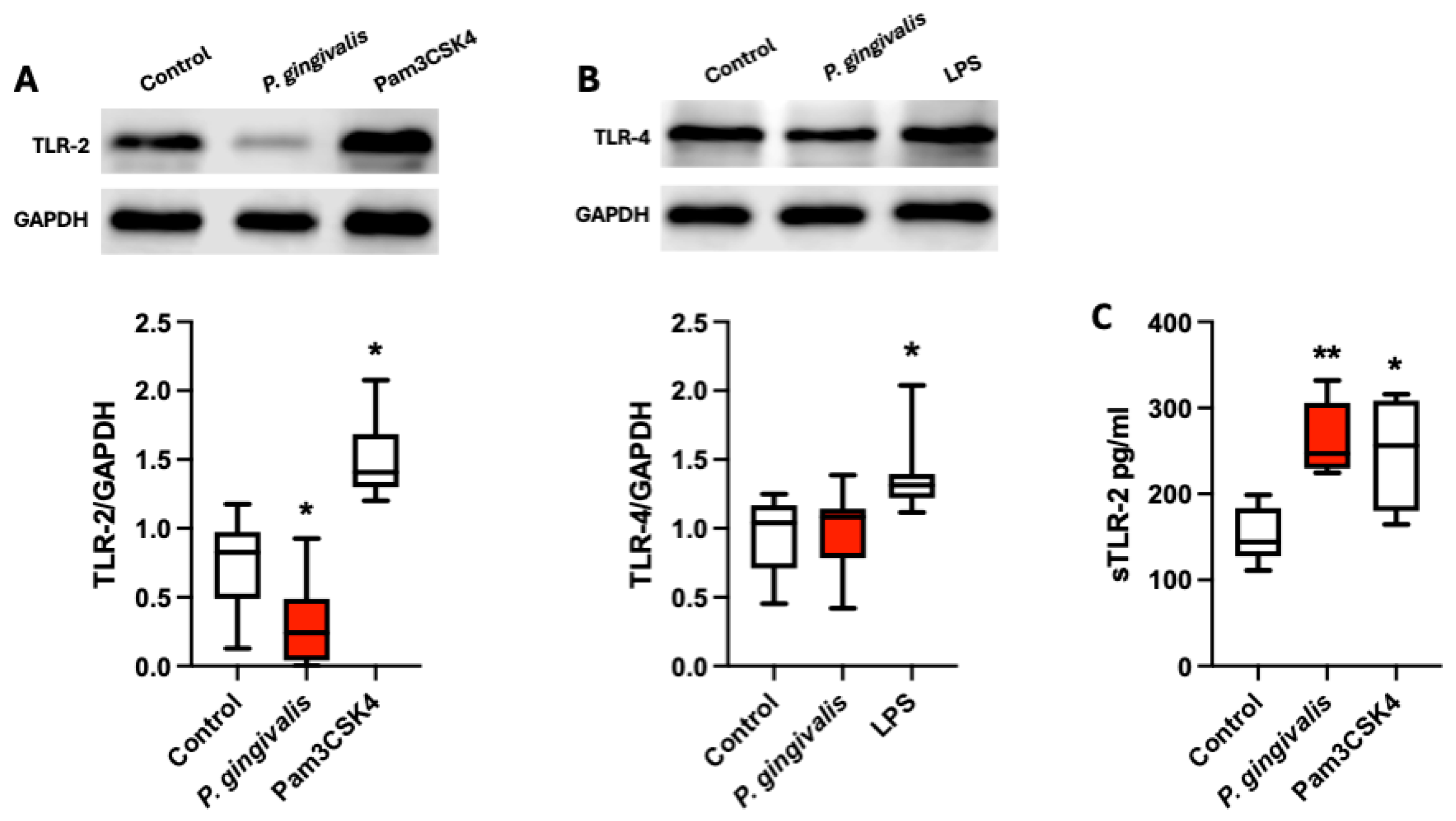 Ijms 26 09558 g002 Ijms 26 09558 g002