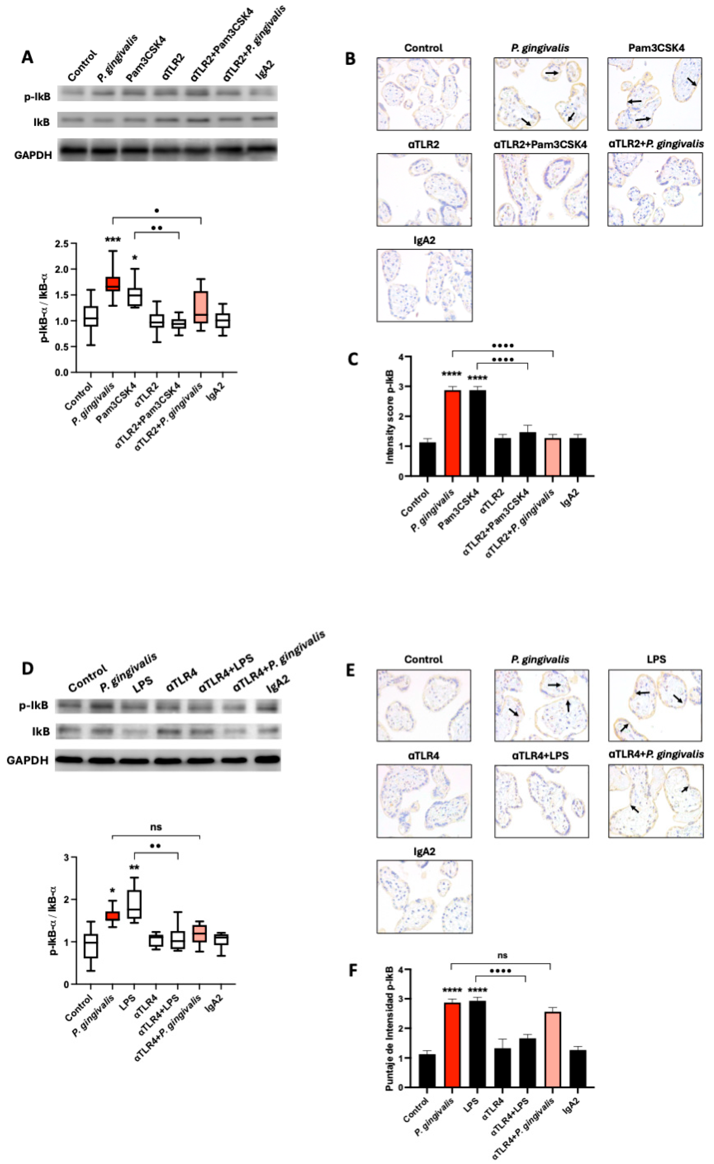 Ijms 26 09558 g003 Ijms 26 09558 g003