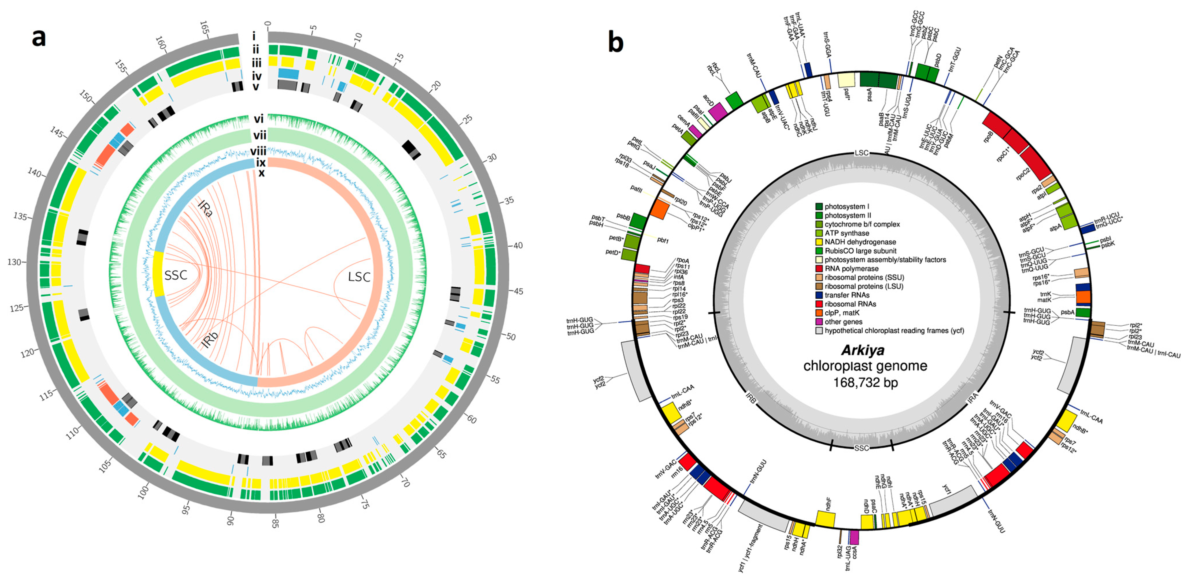 Ijms 26 09561 g001 Ijms 26 09561 g001